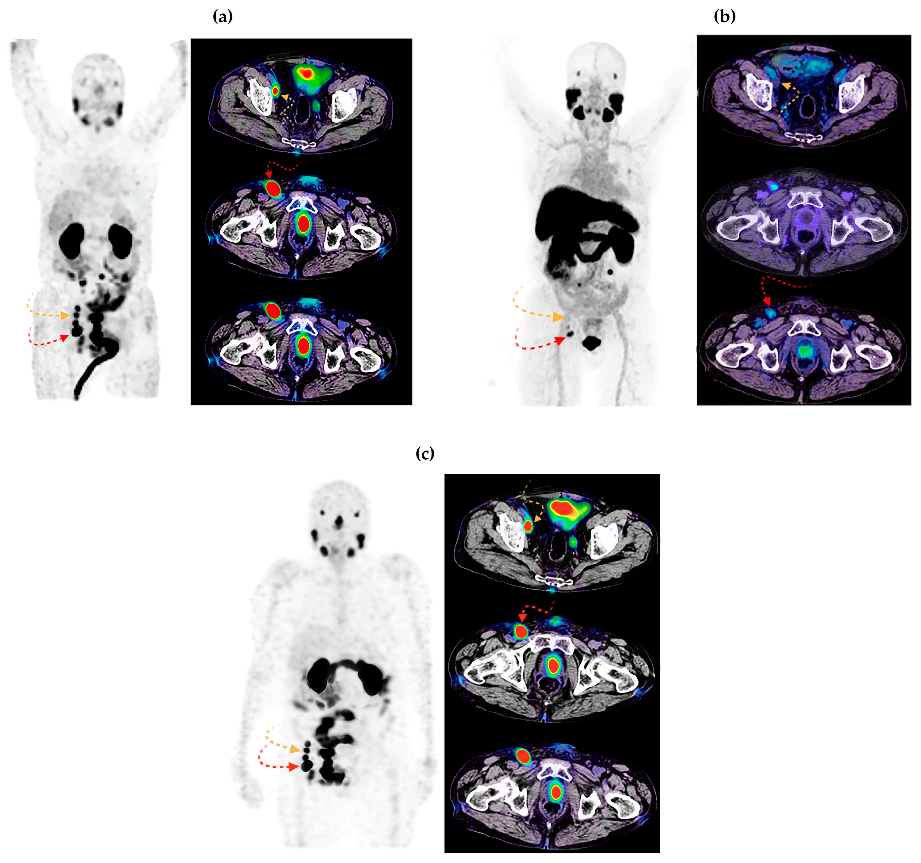 Pharmaceutics 16 01358 g007