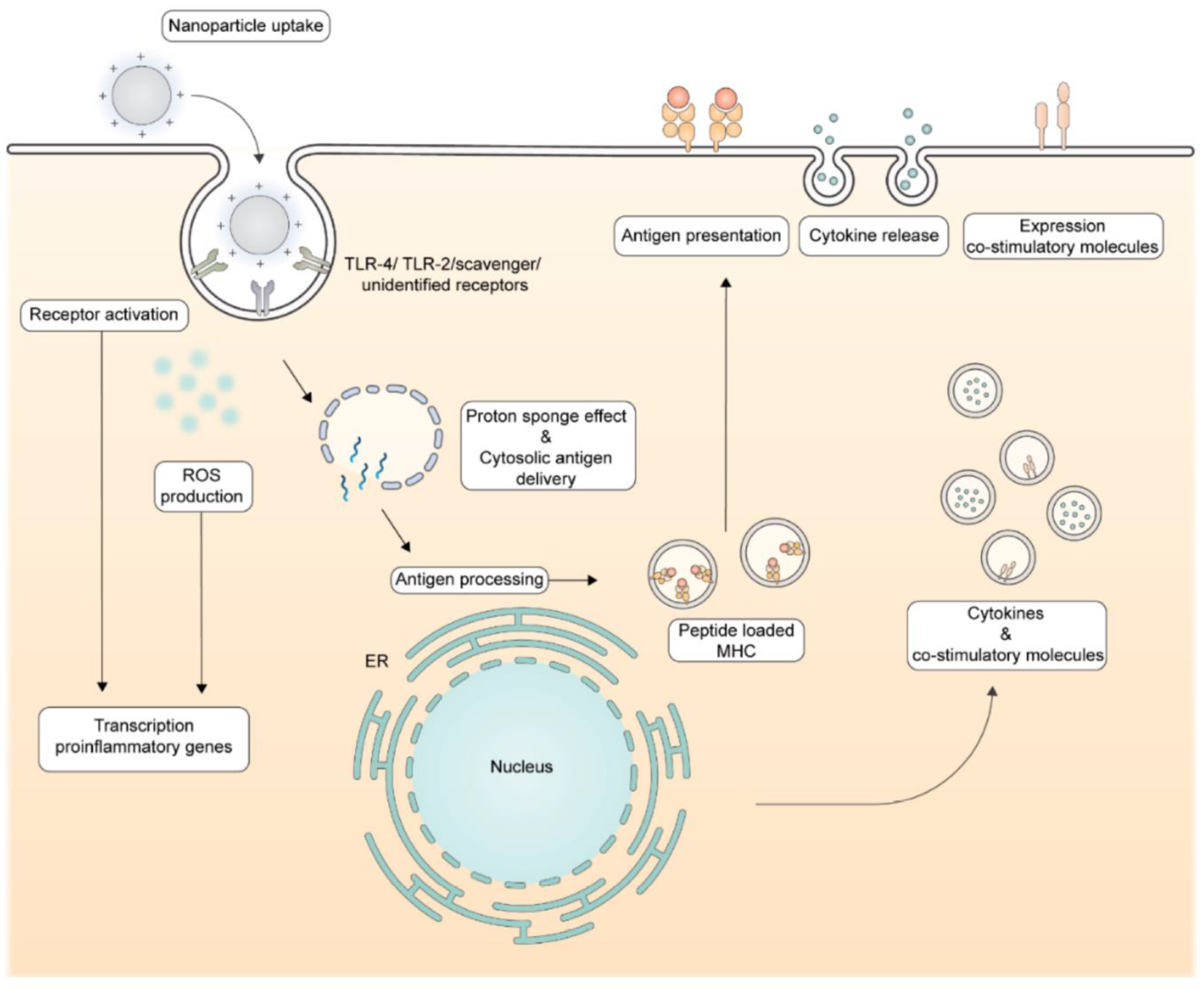 Pharmaceutics 16 01362 g002