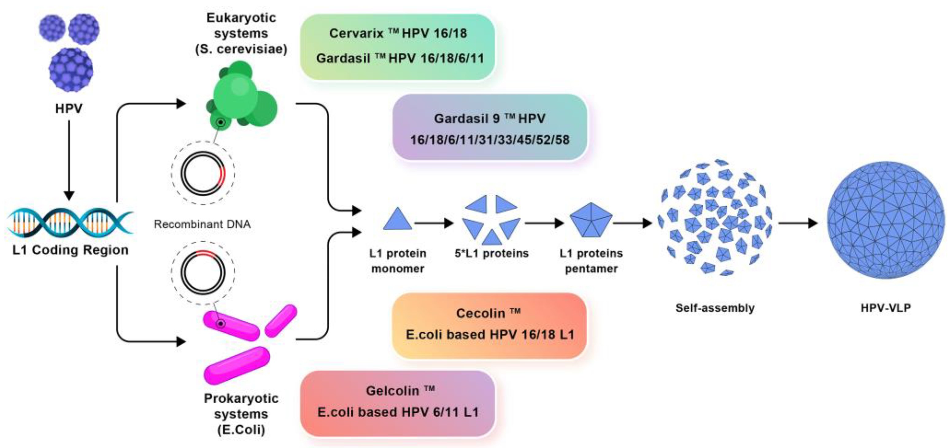 Pharmaceutics 16 01362 g004