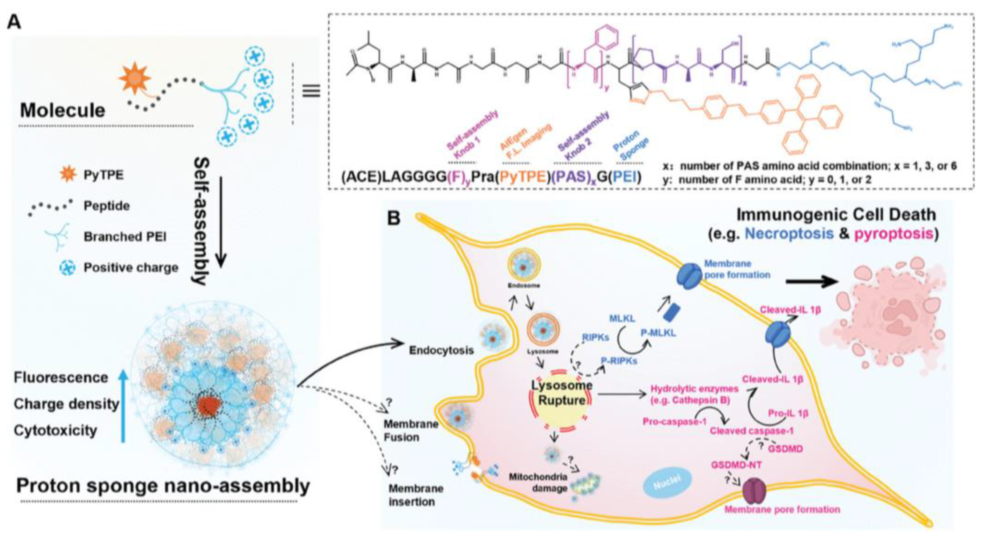 Pharmaceutics 16 01362 g009