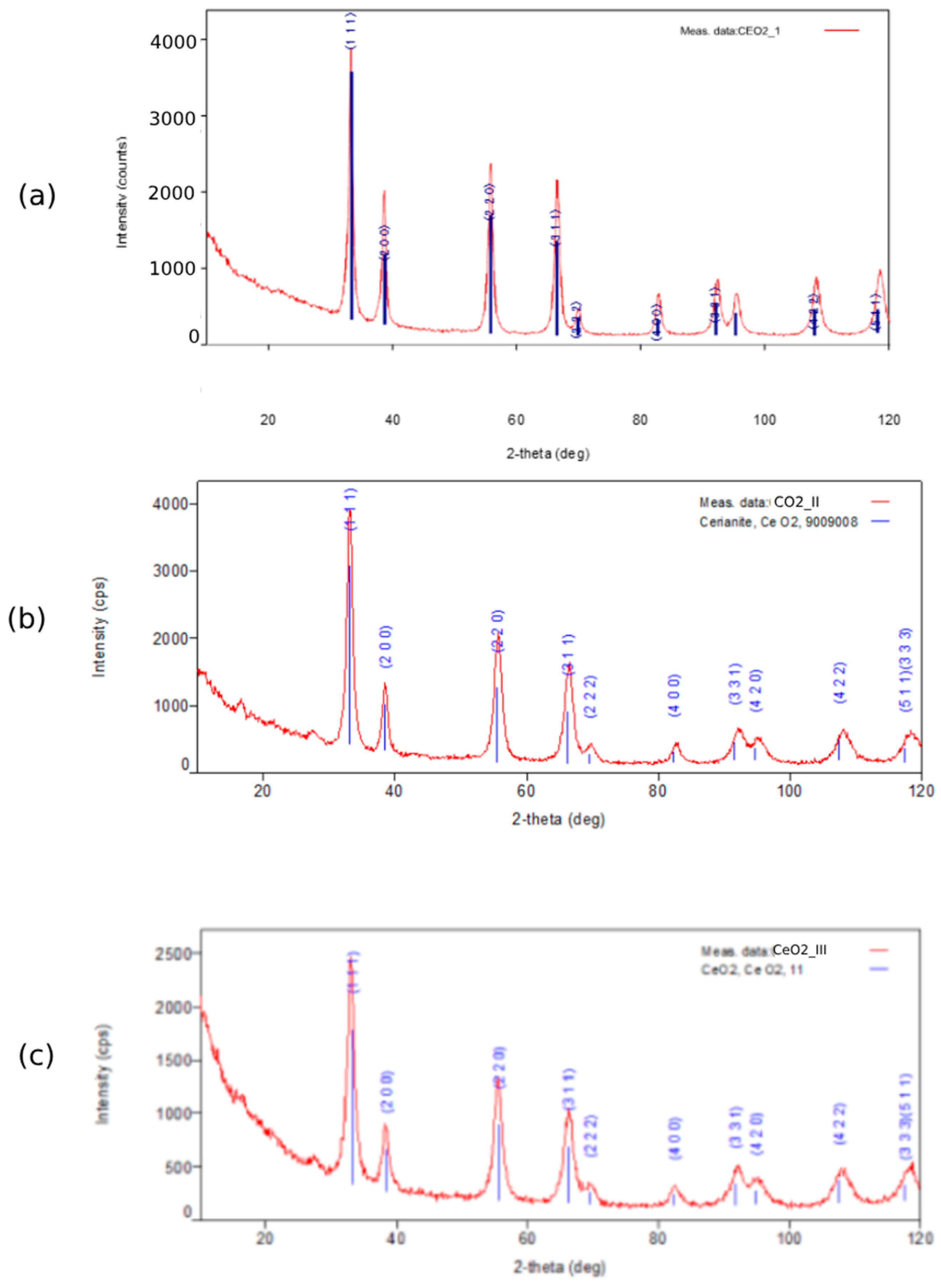 Pharmaceutics 16 01365 g011