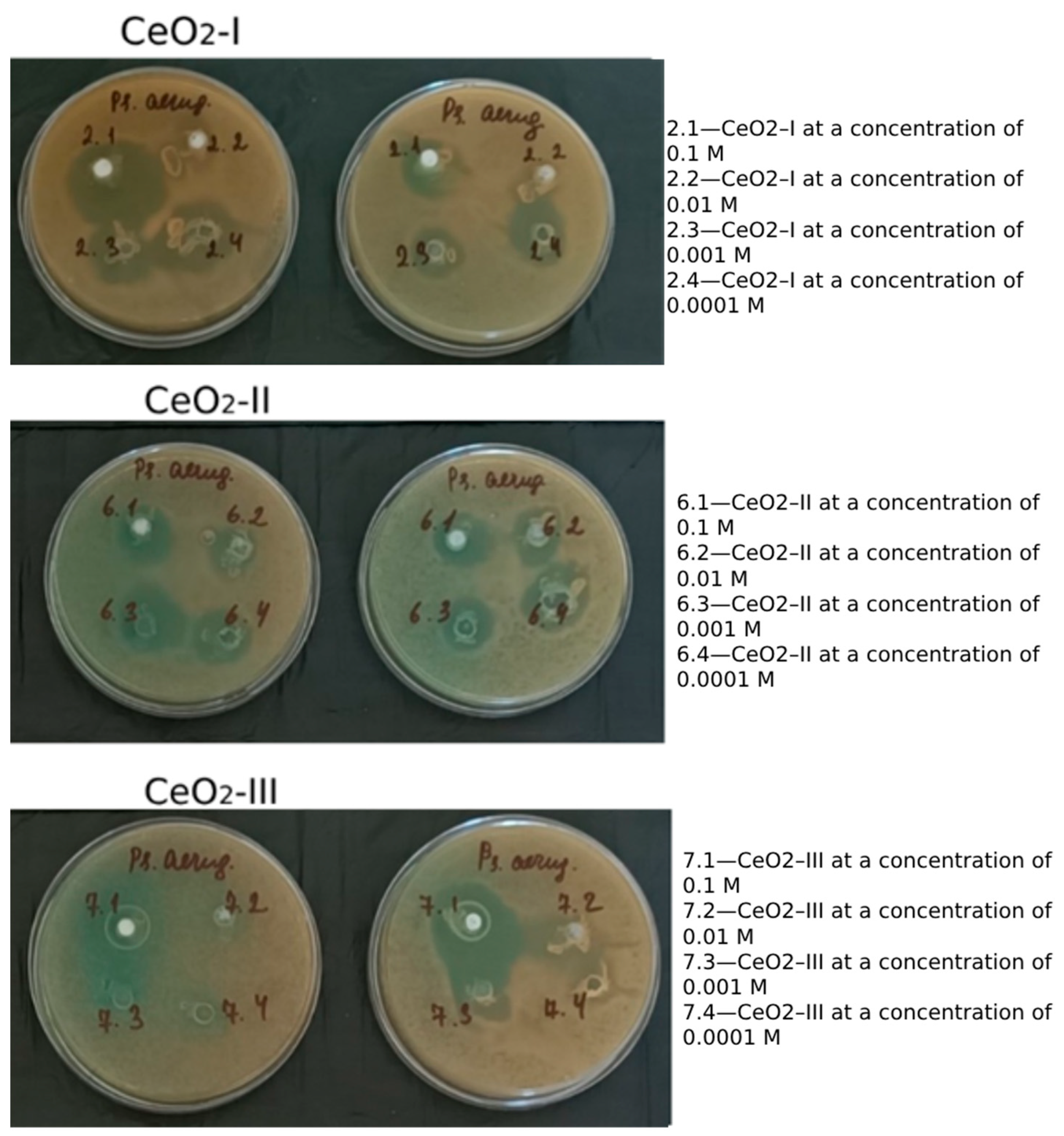 Pharmaceutics 16 01365 g020