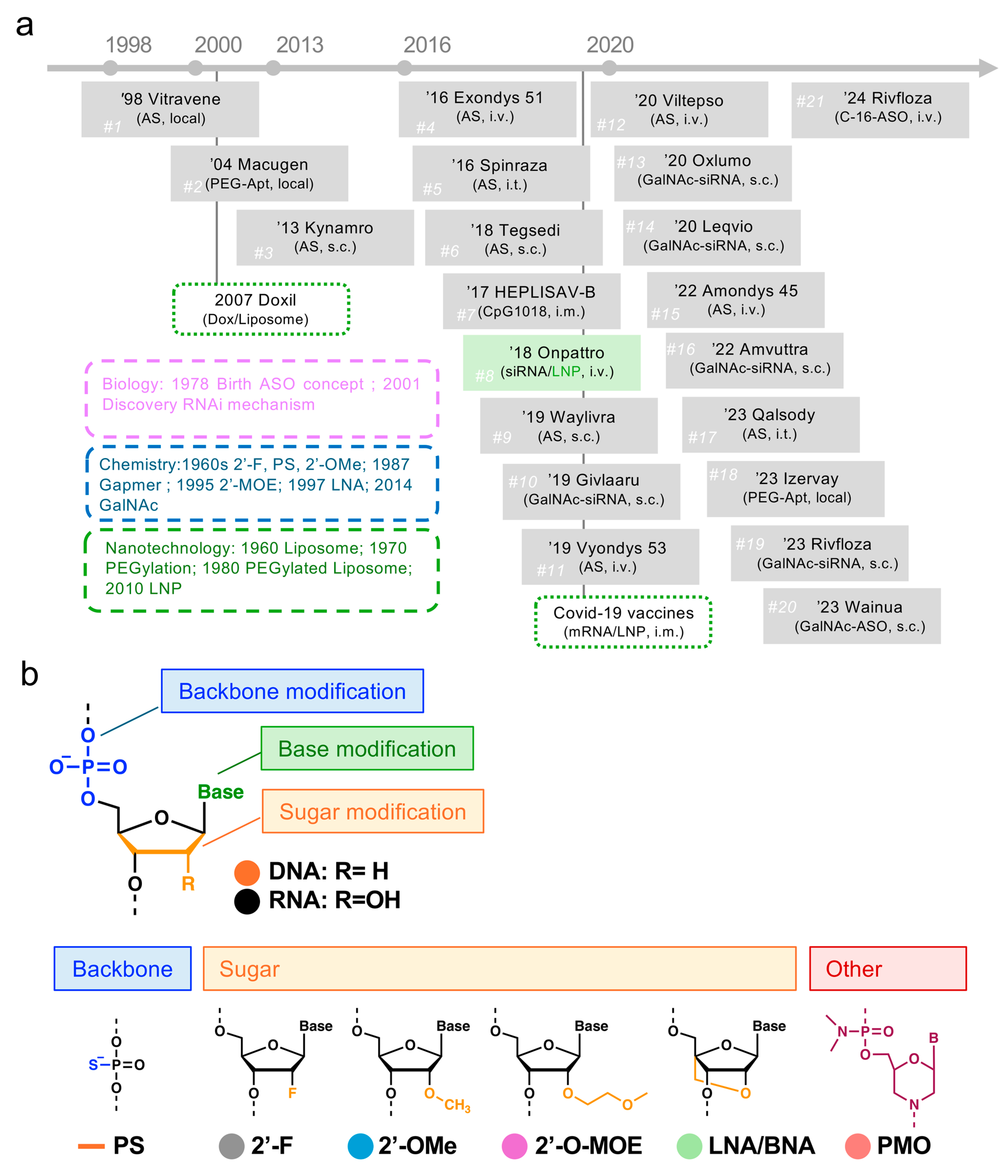 Pharmaceutics 16 01367 g001a