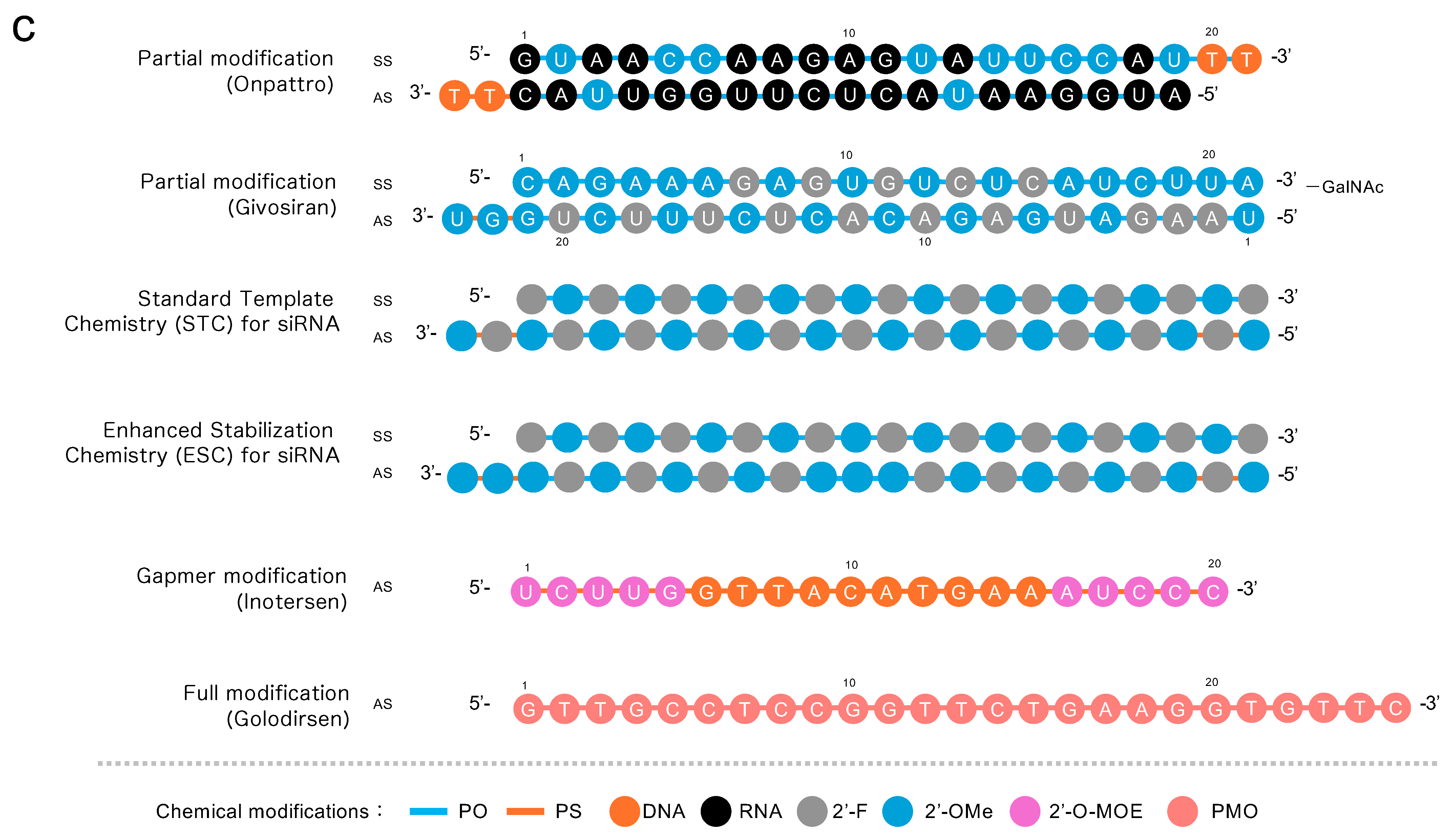 Pharmaceutics 16 01367 g001b