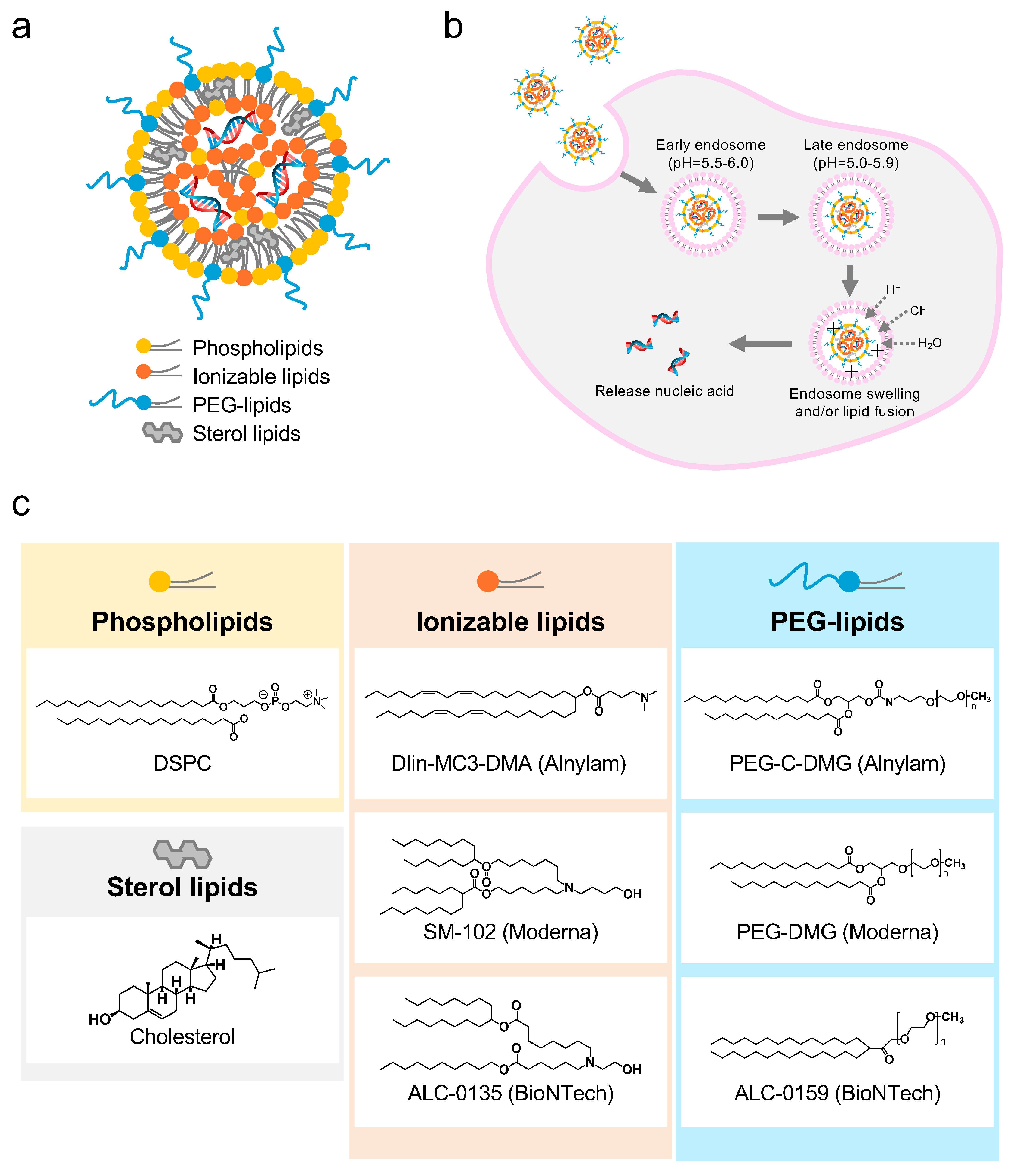 Pharmaceutics 16 01367 g002a