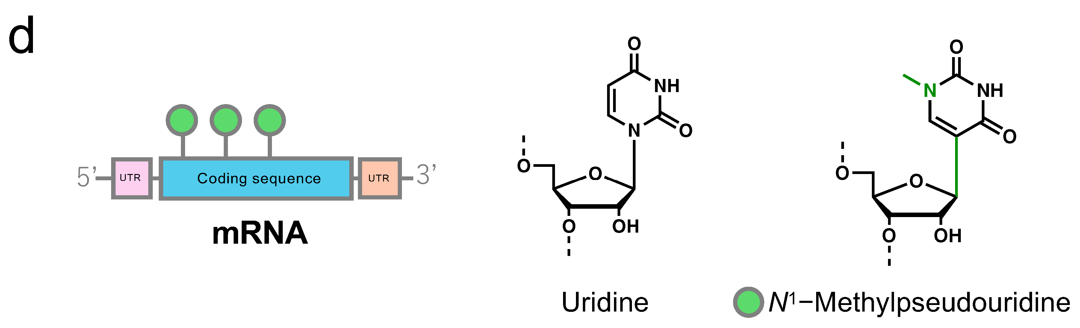Pharmaceutics 16 01367 g002b