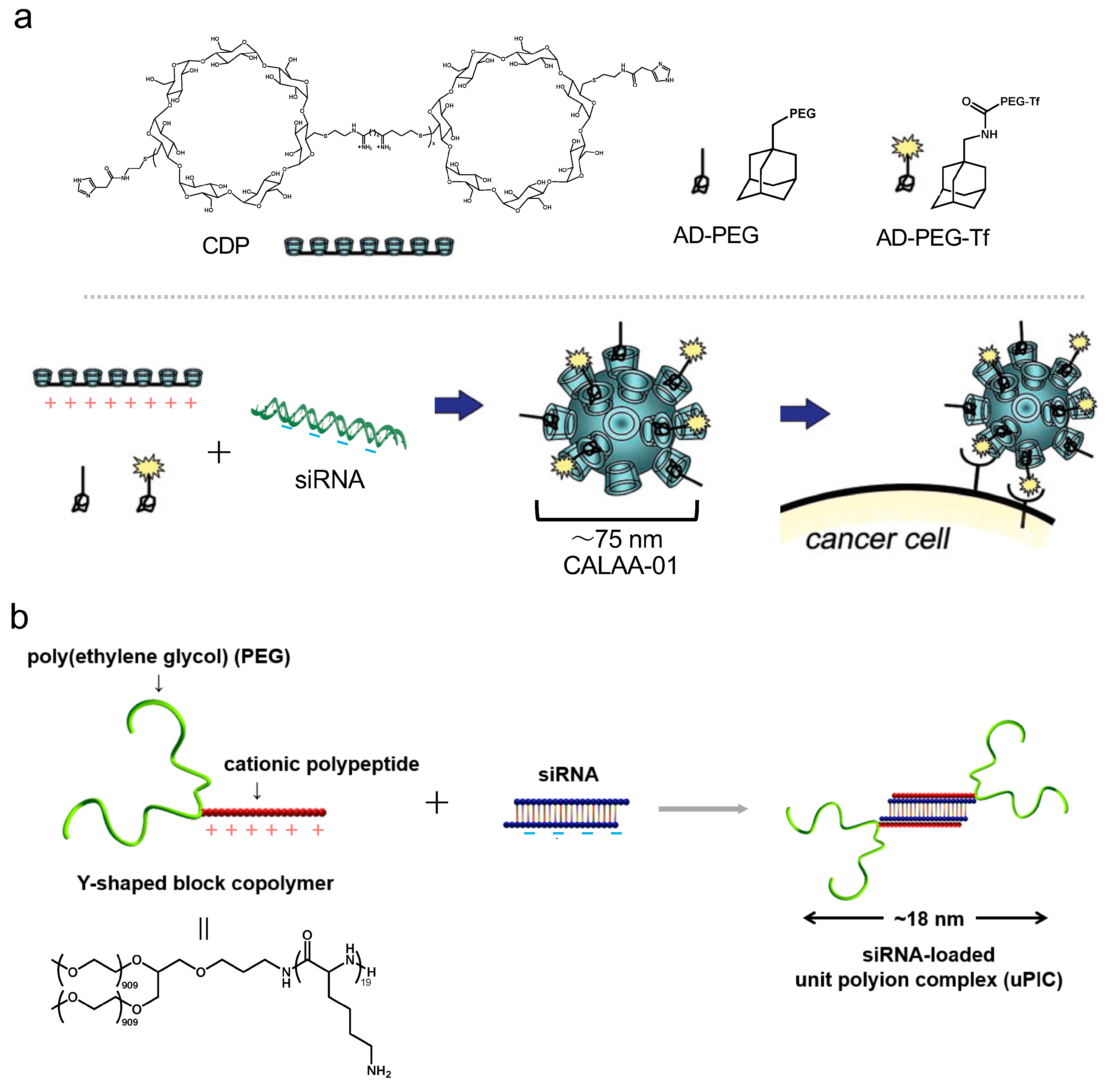 Pharmaceutics 16 01367 g003