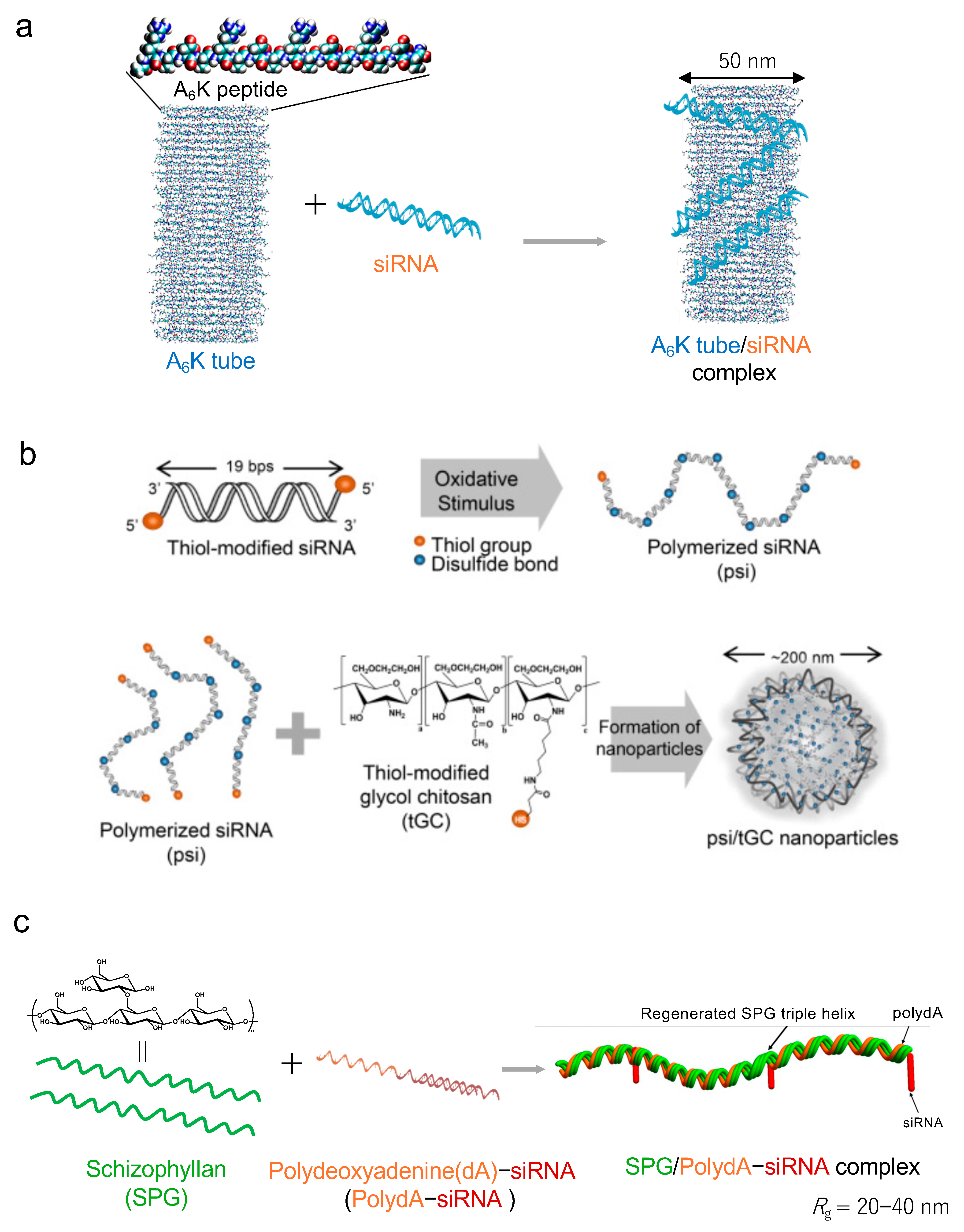 Pharmaceutics 16 01367 g004a