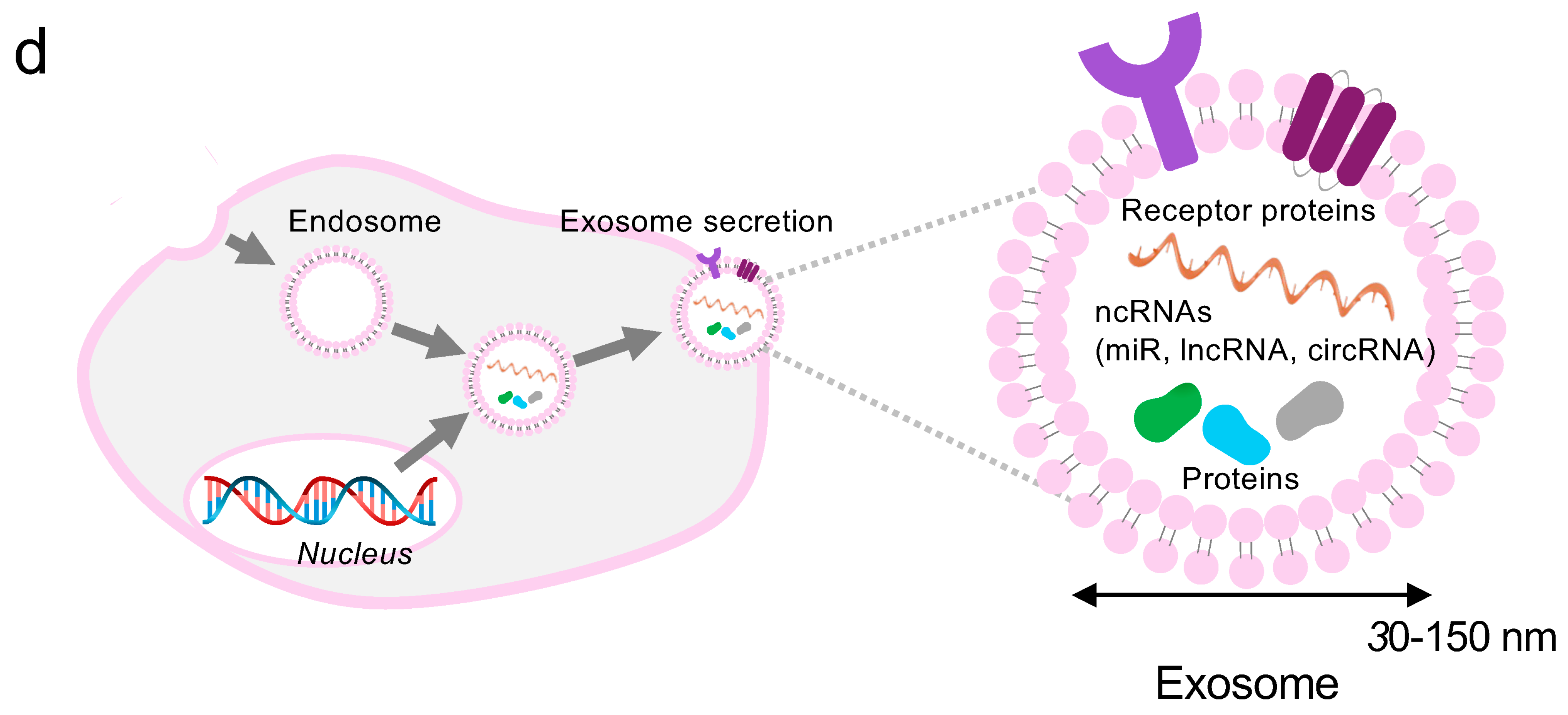 Pharmaceutics 16 01367 g004b