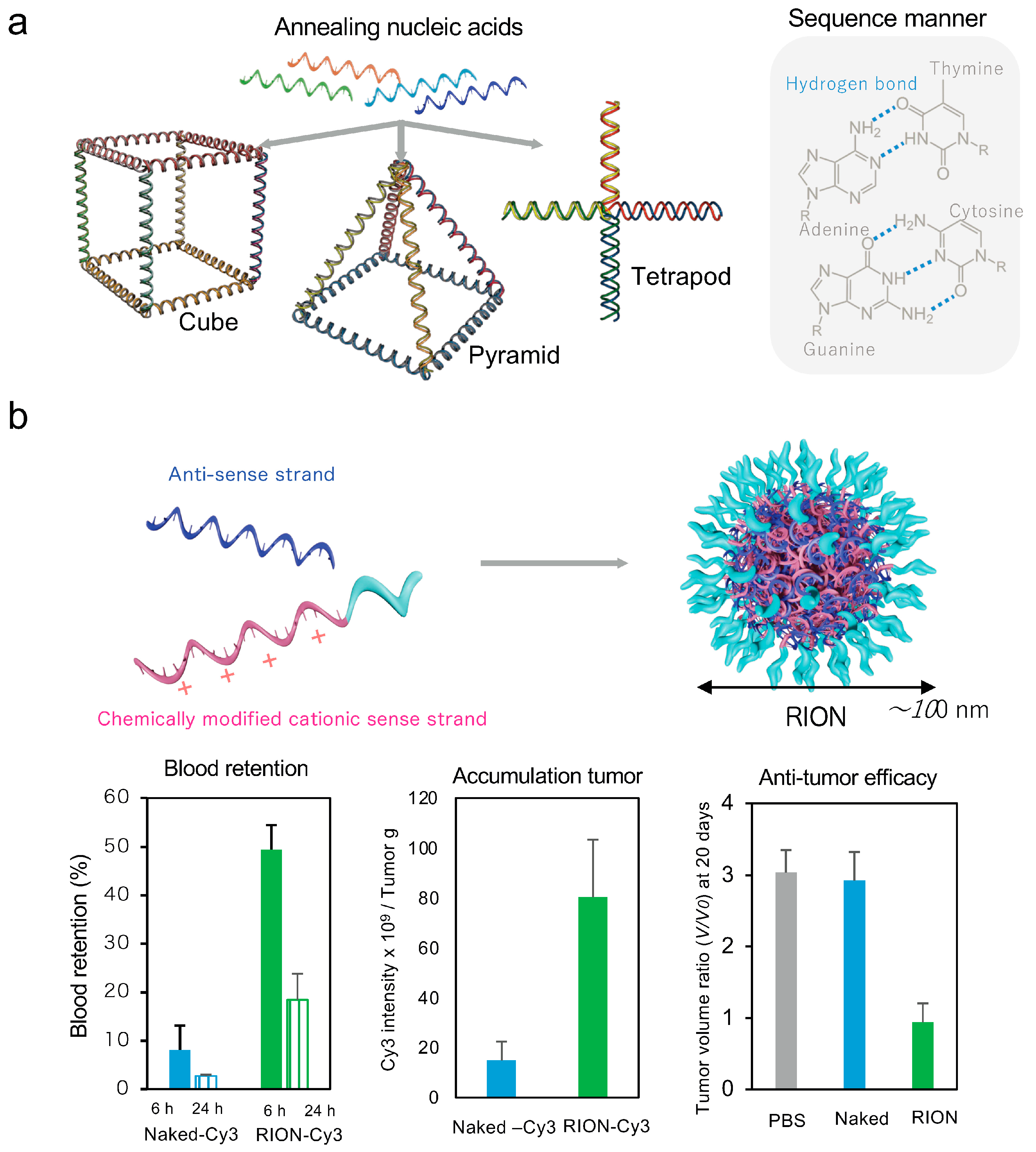Pharmaceutics 16 01367 g005a