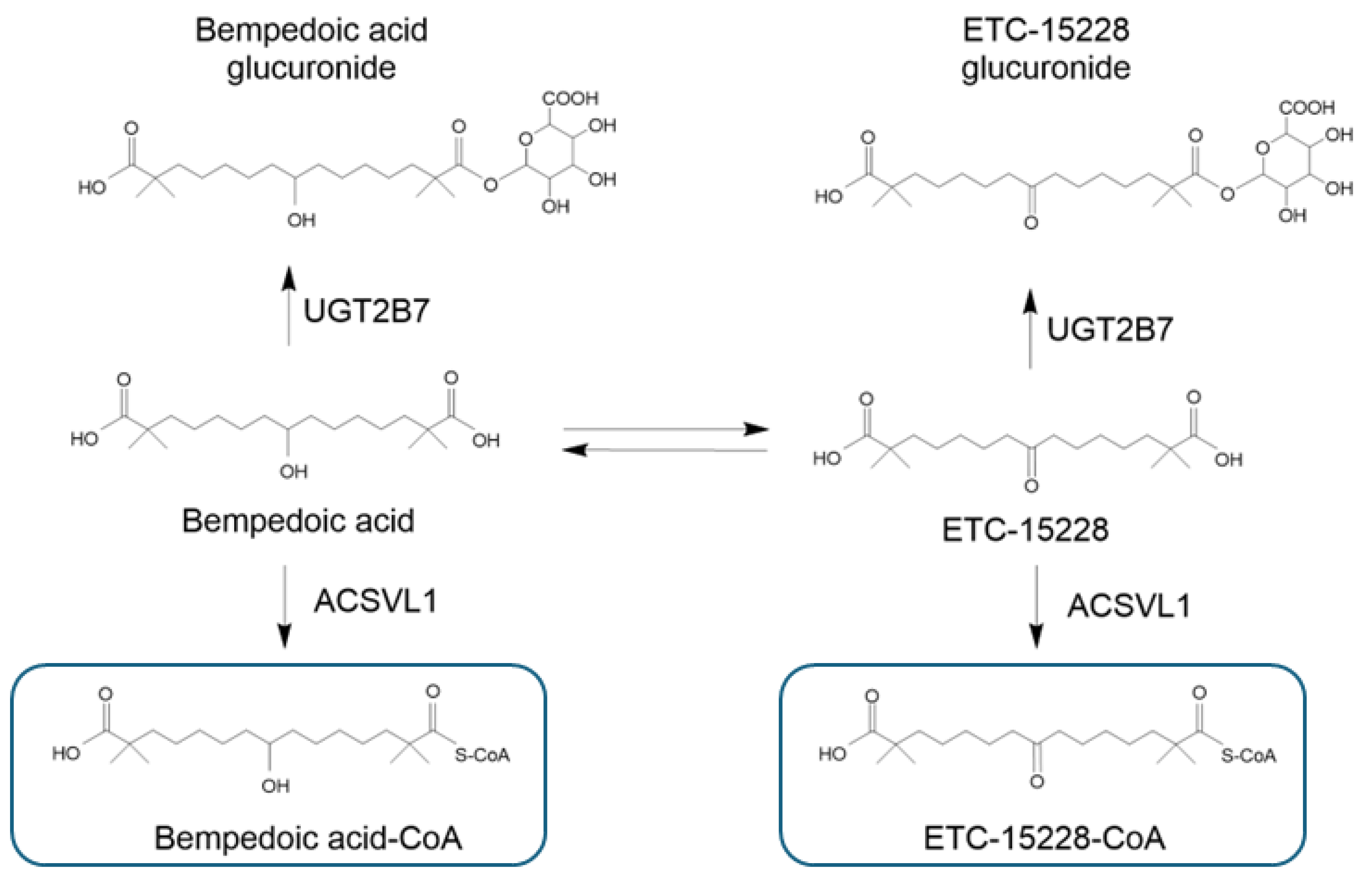 Pharmaceutics 16 01371 g002