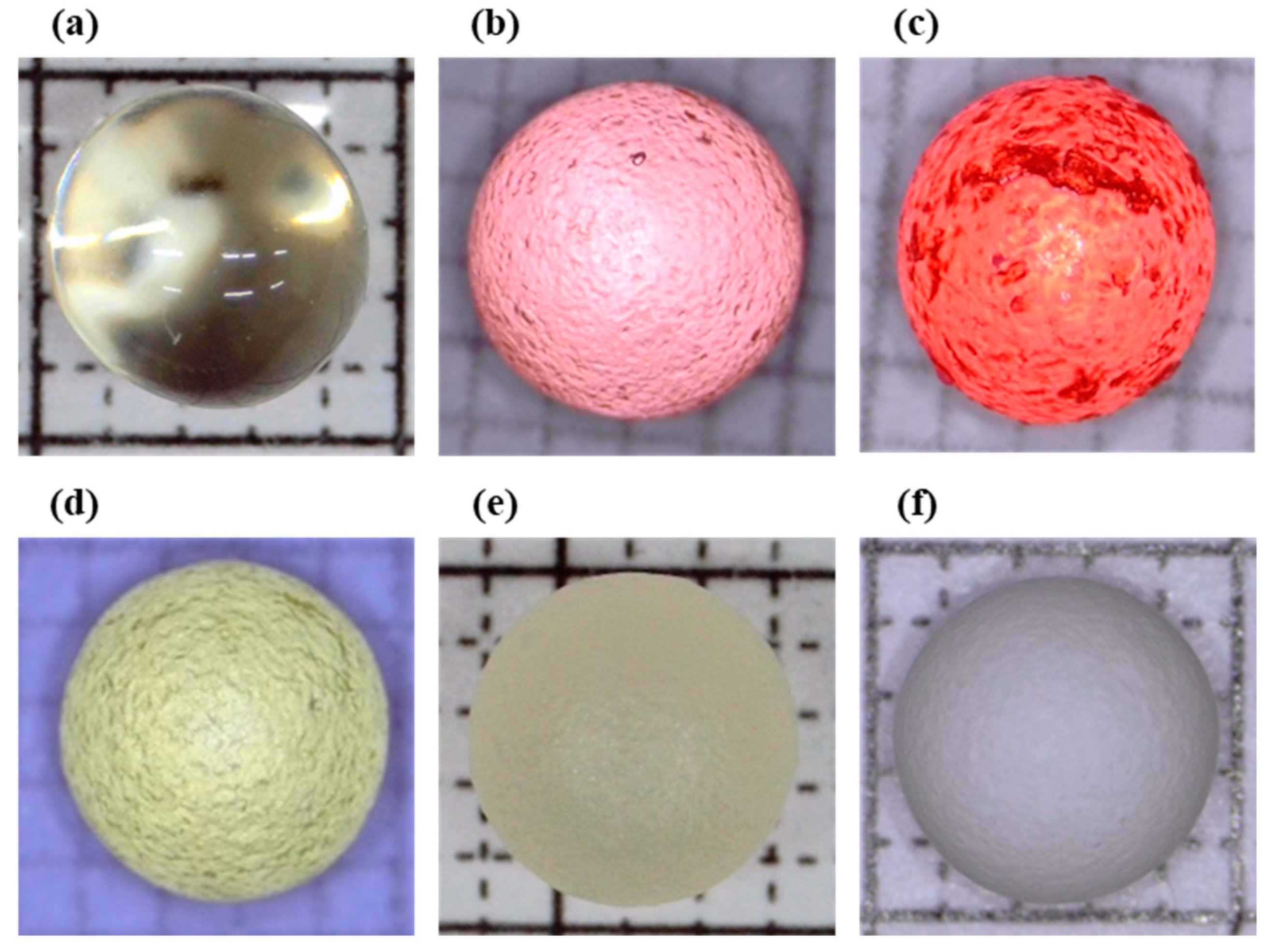 Pharmaceutics 16 01374 g001
