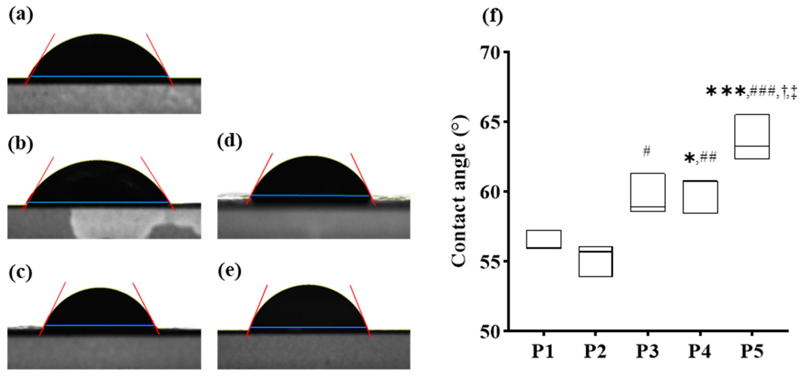 Pharmaceutics 16 01374 g002