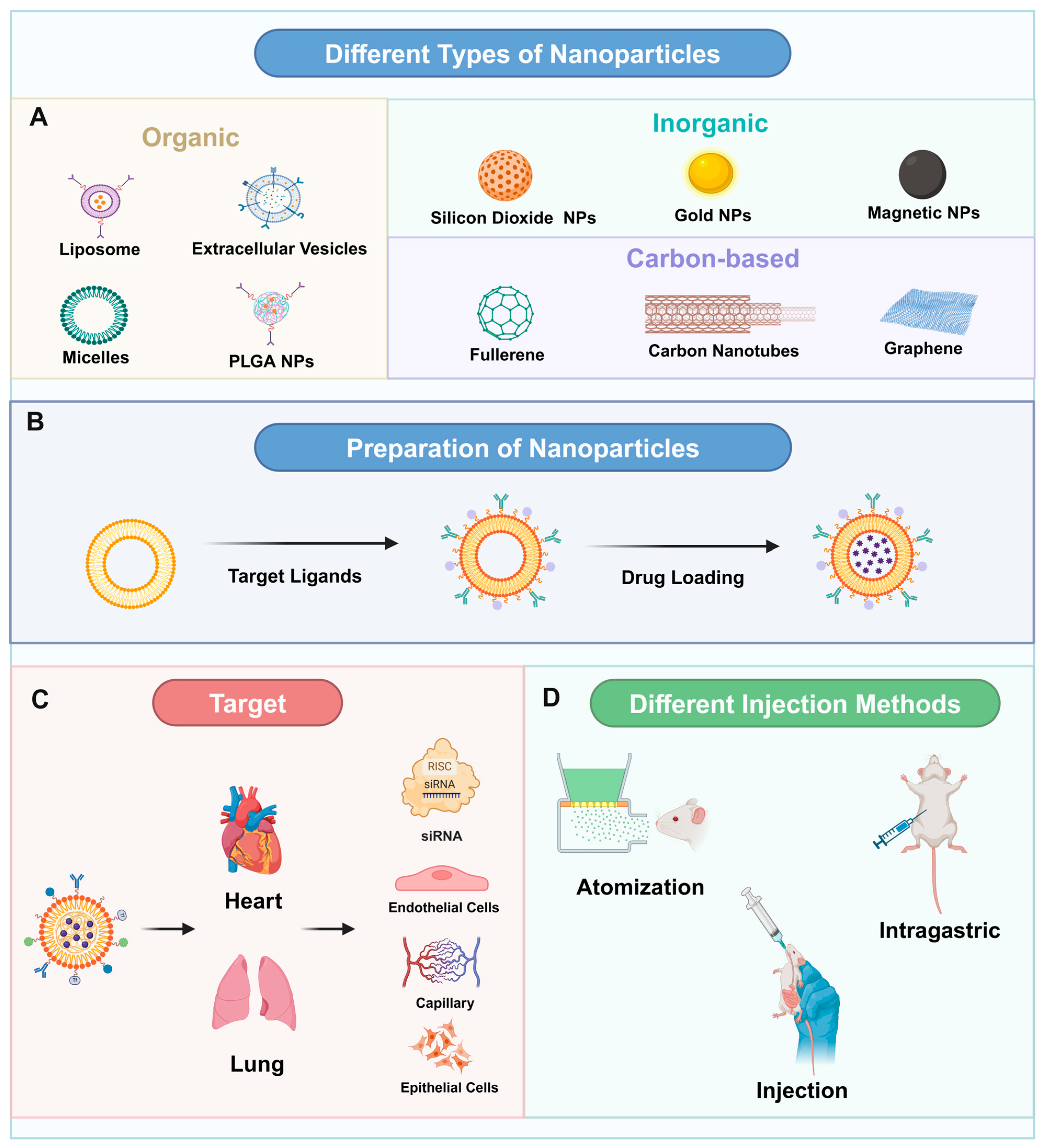 Pharmaceutics 16 01375 g002