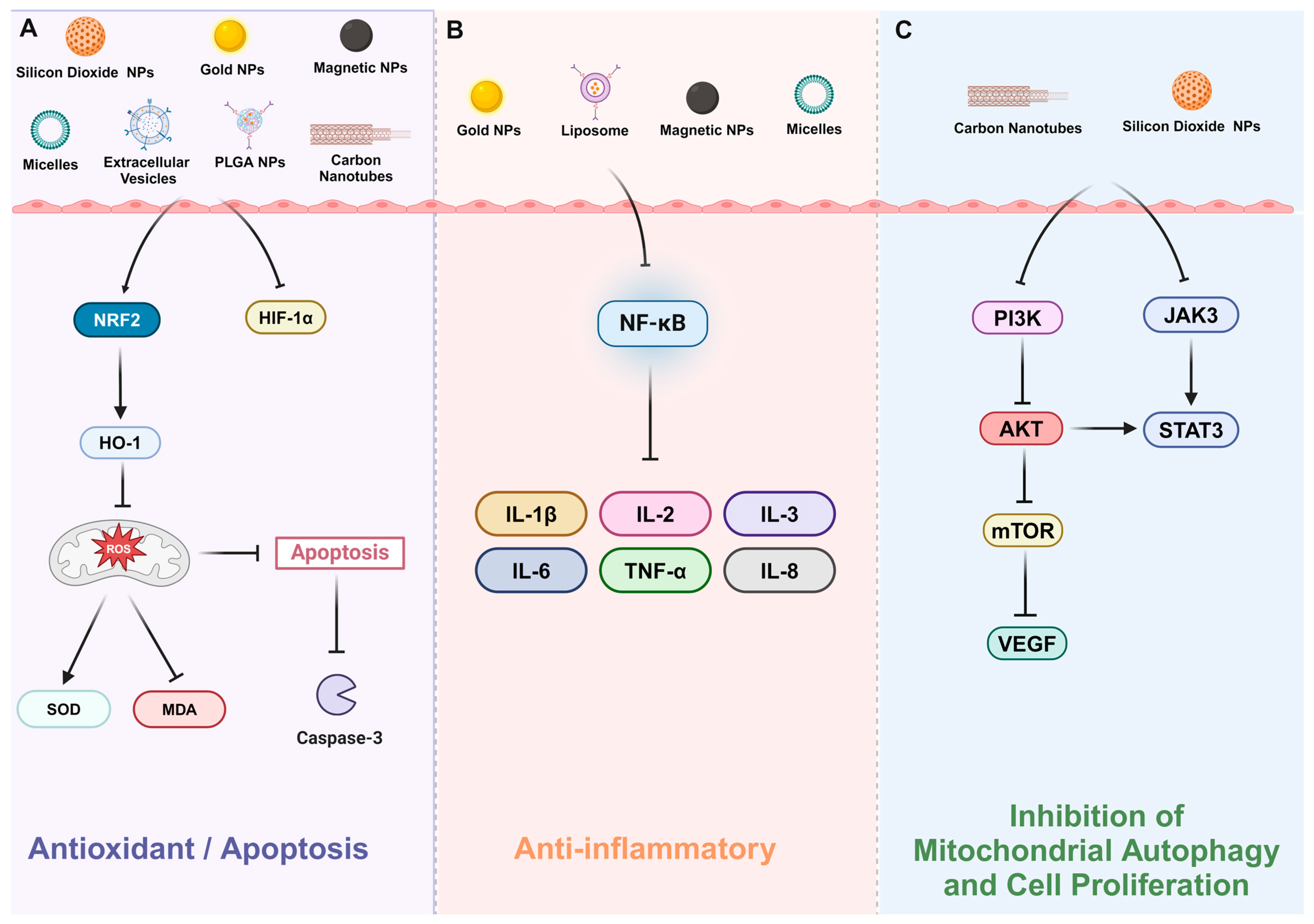 Pharmaceutics 16 01375 g003