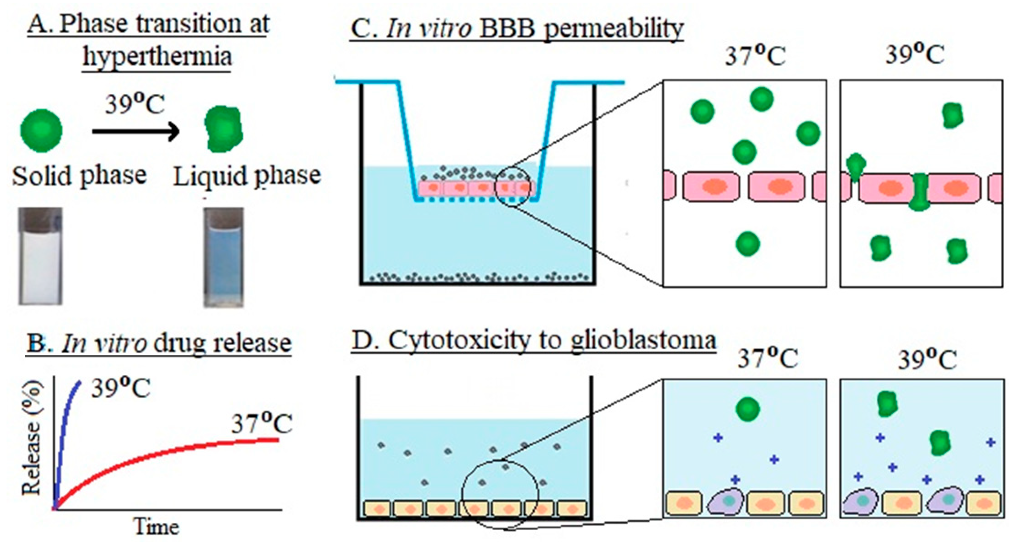 Pharmaceutics 16 01376 g003