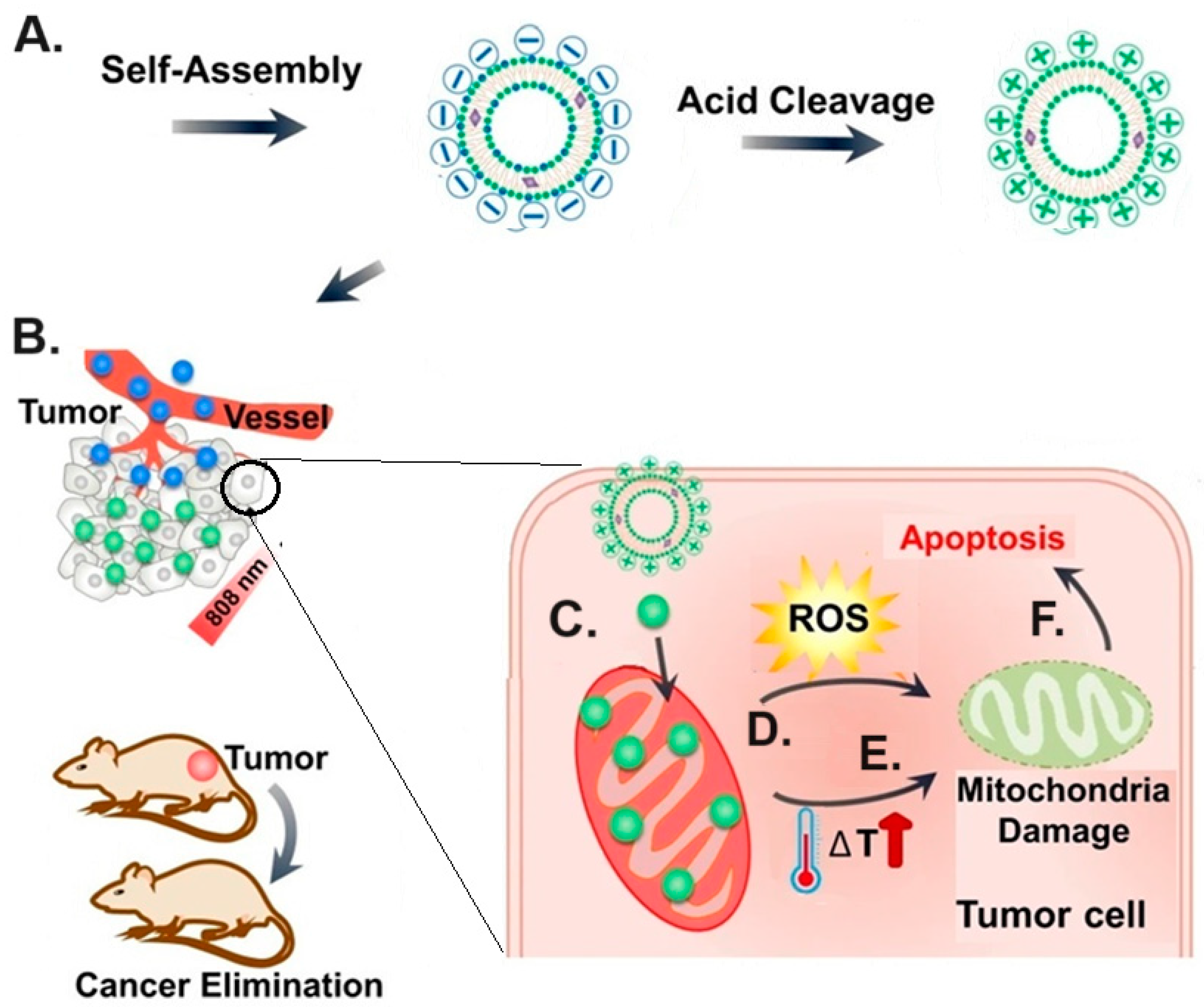 Pharmaceutics 16 01376 g005