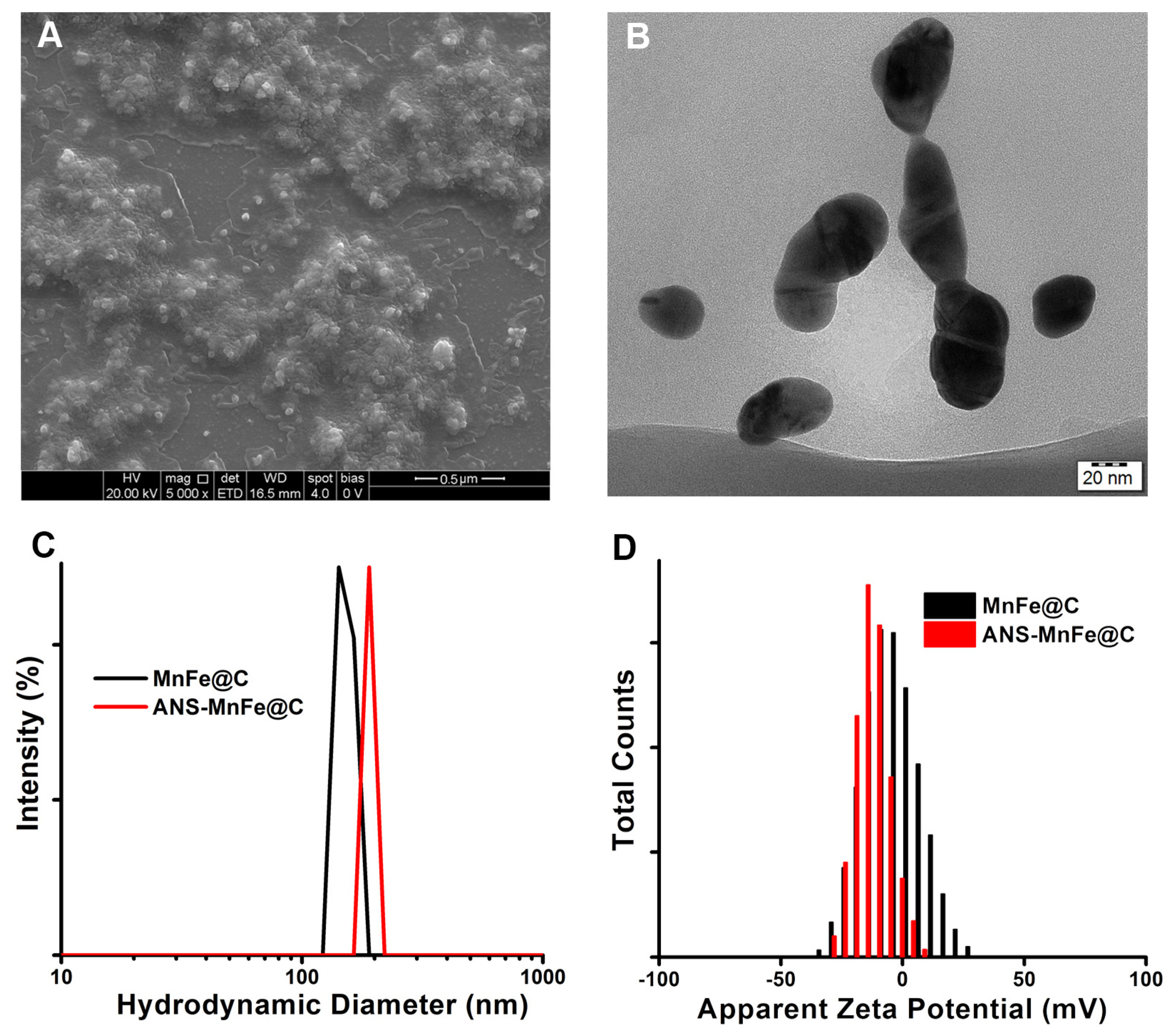 Pharmaceutics 16 01378 g005