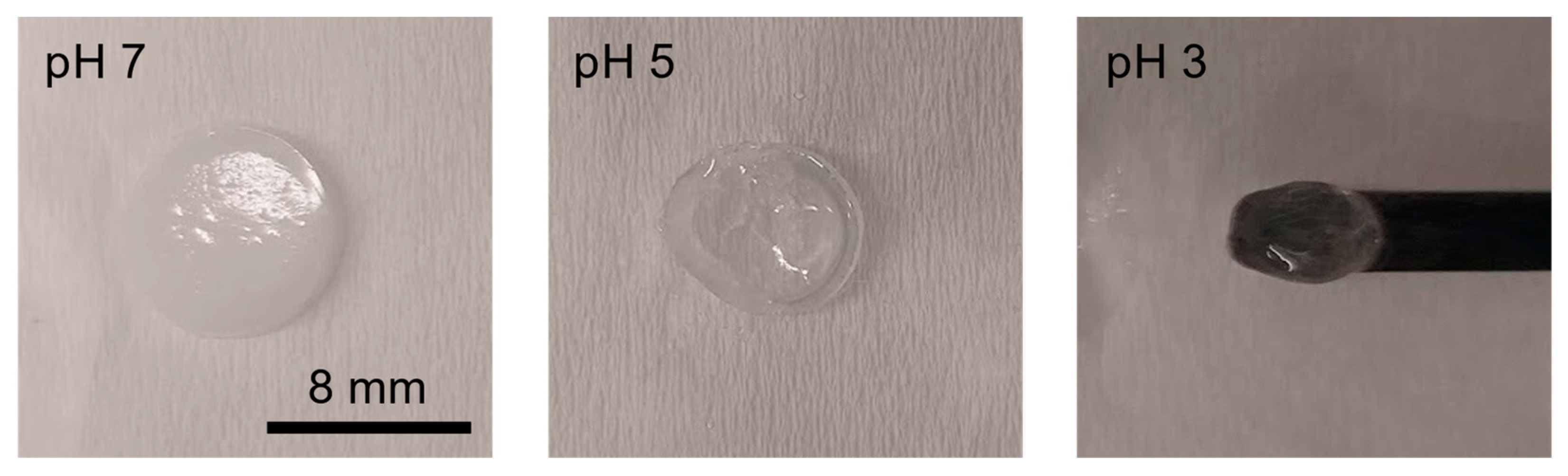 Pharmaceutics 16 01380 g010