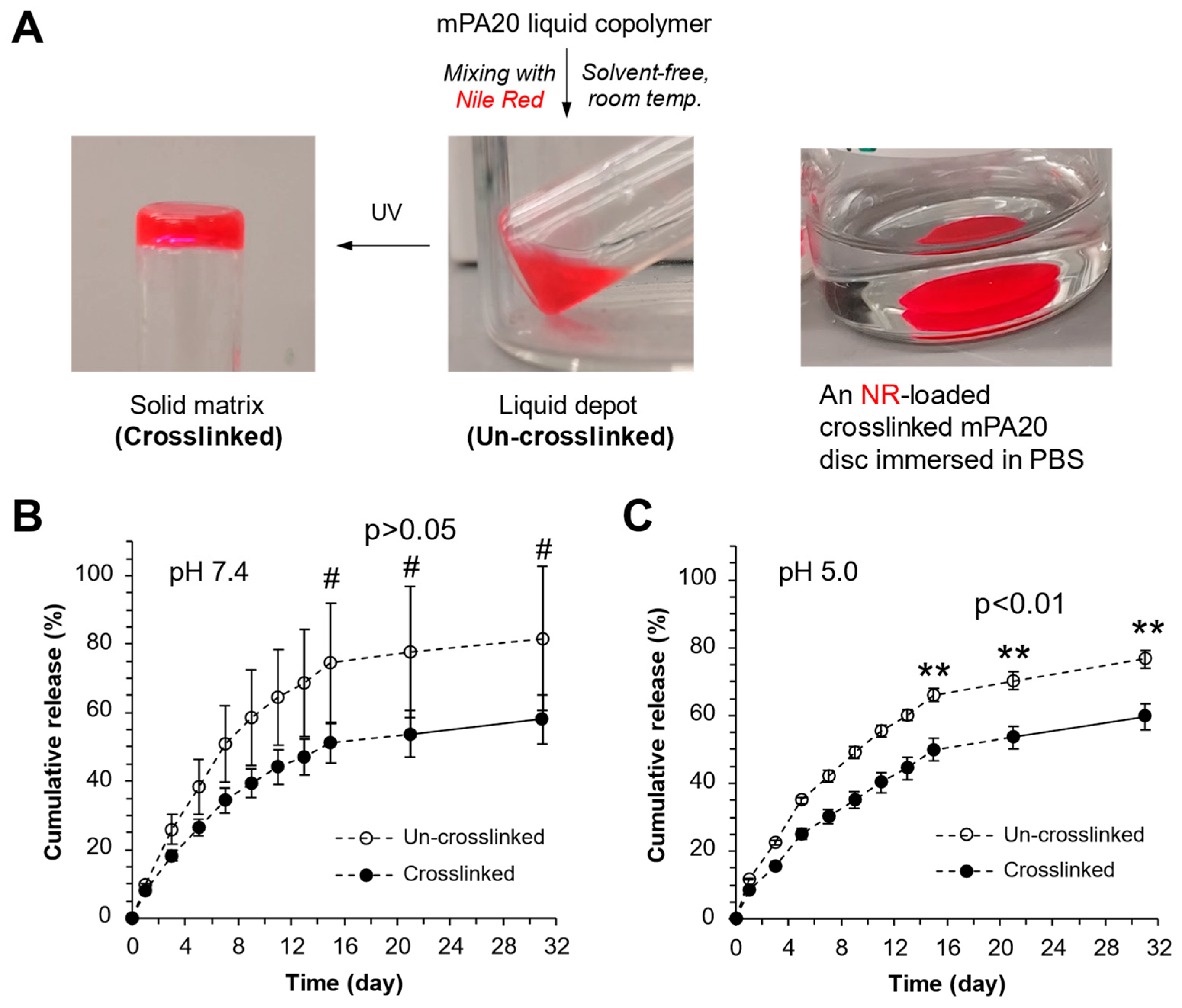 Pharmaceutics 16 01380 g011