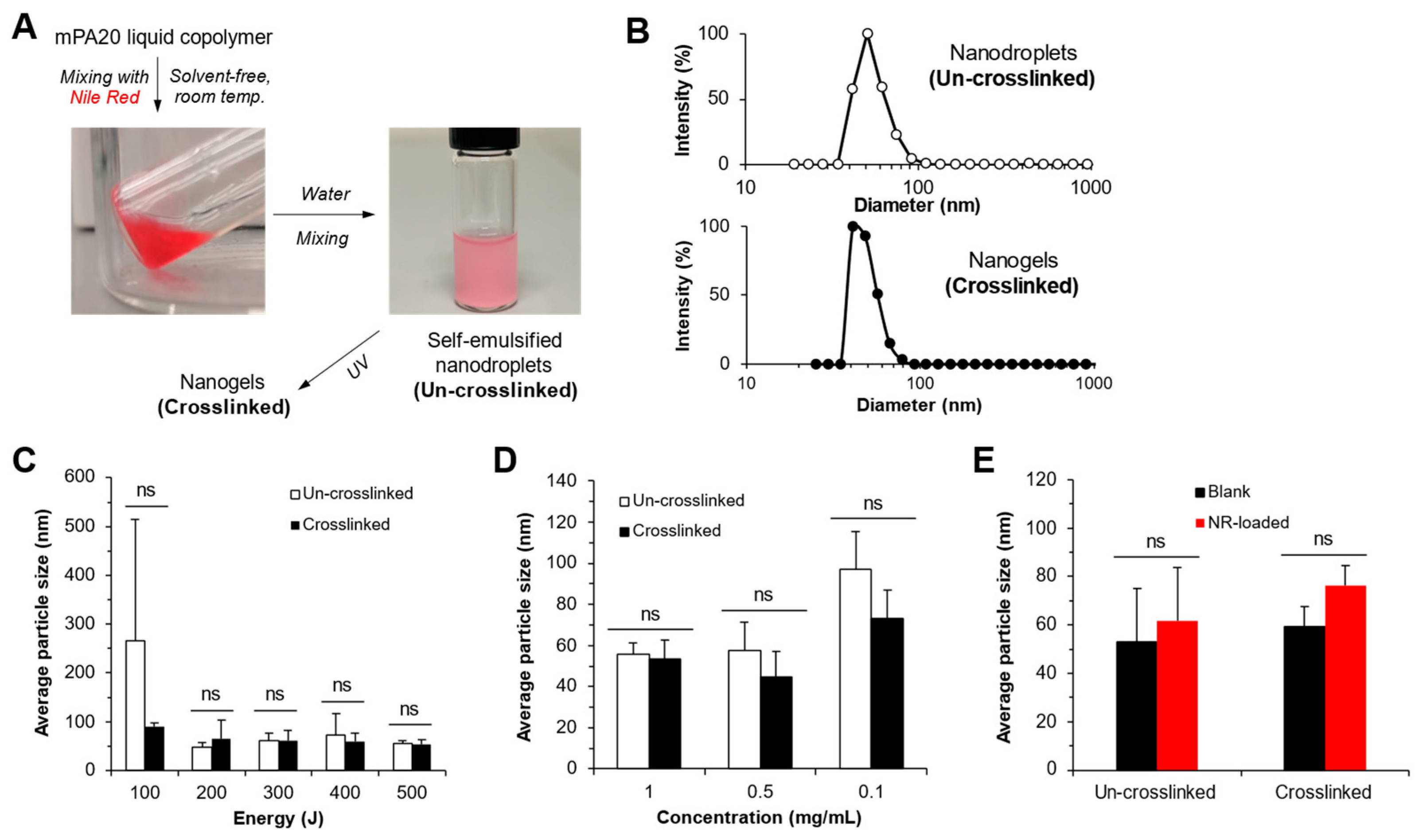 Pharmaceutics 16 01380 g012