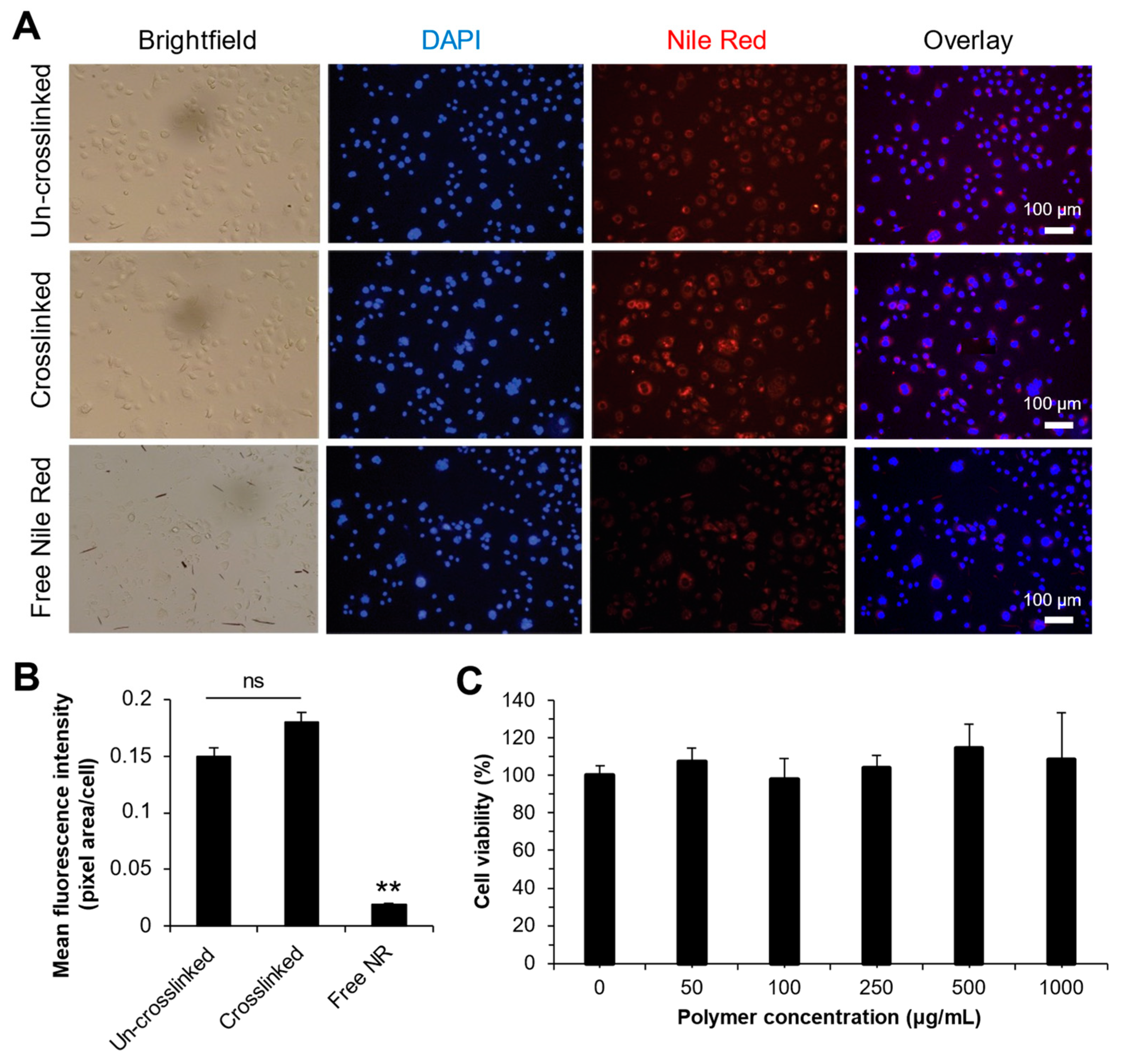 Pharmaceutics 16 01380 g014