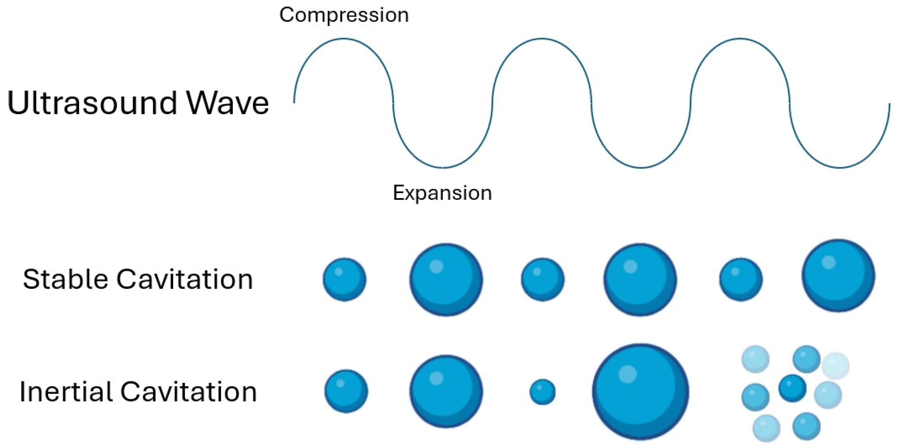 Pharmaceutics 16 01383 g004