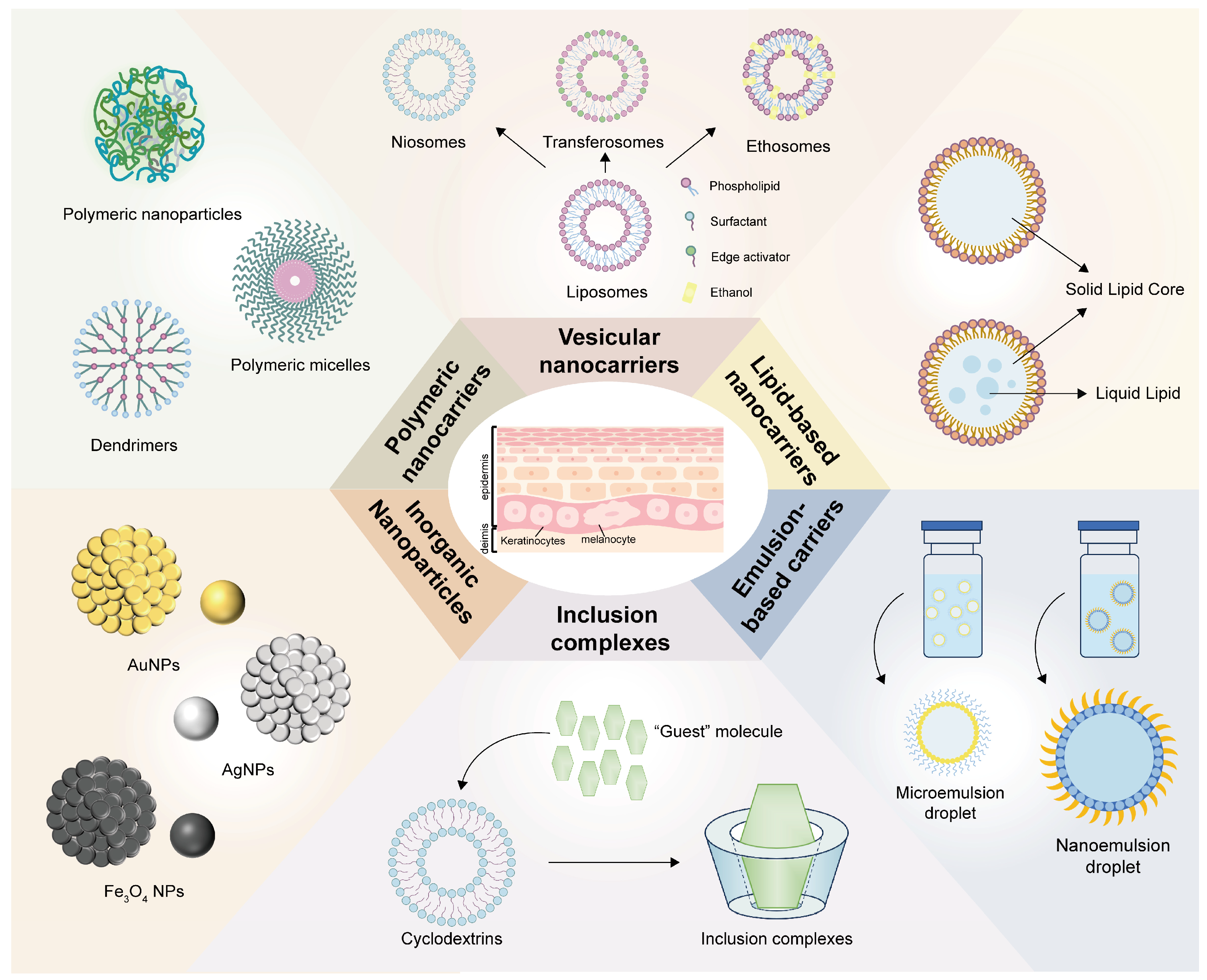 Pharmaceutics 16 01384 g002