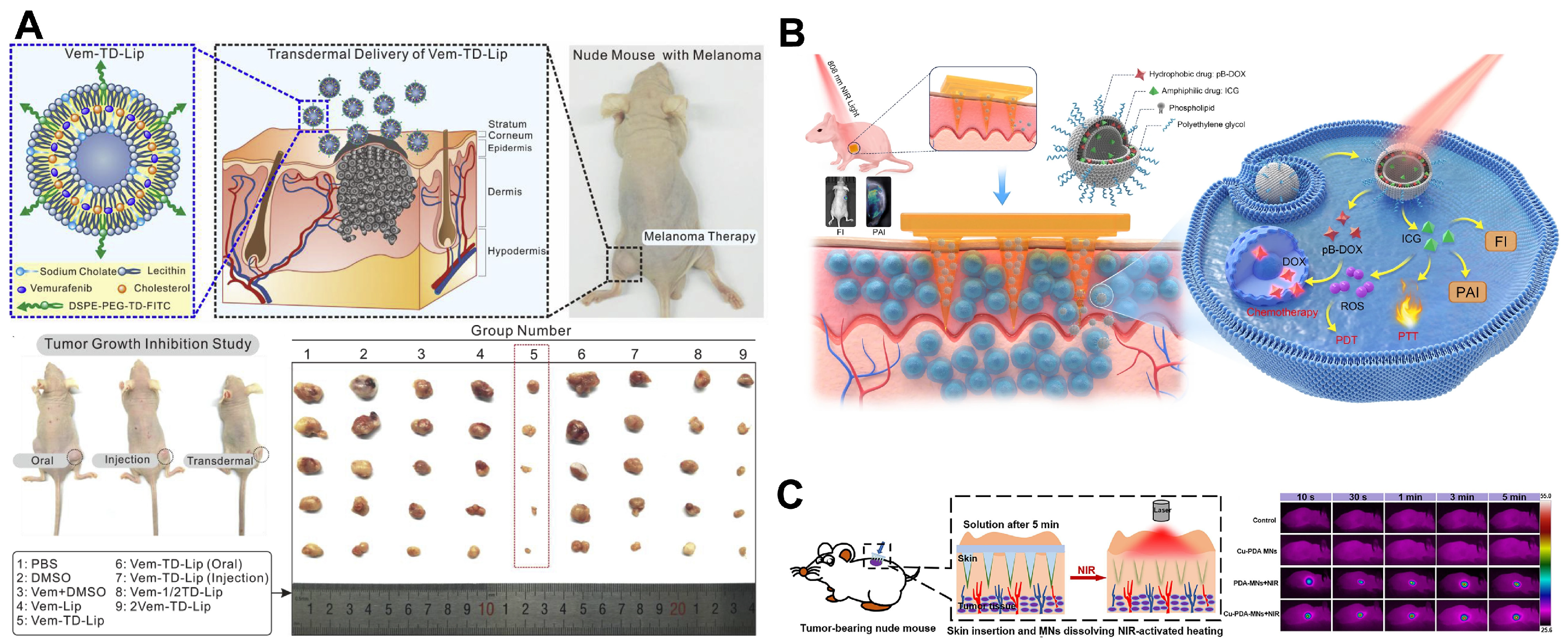 Pharmaceutics 16 01384 g007