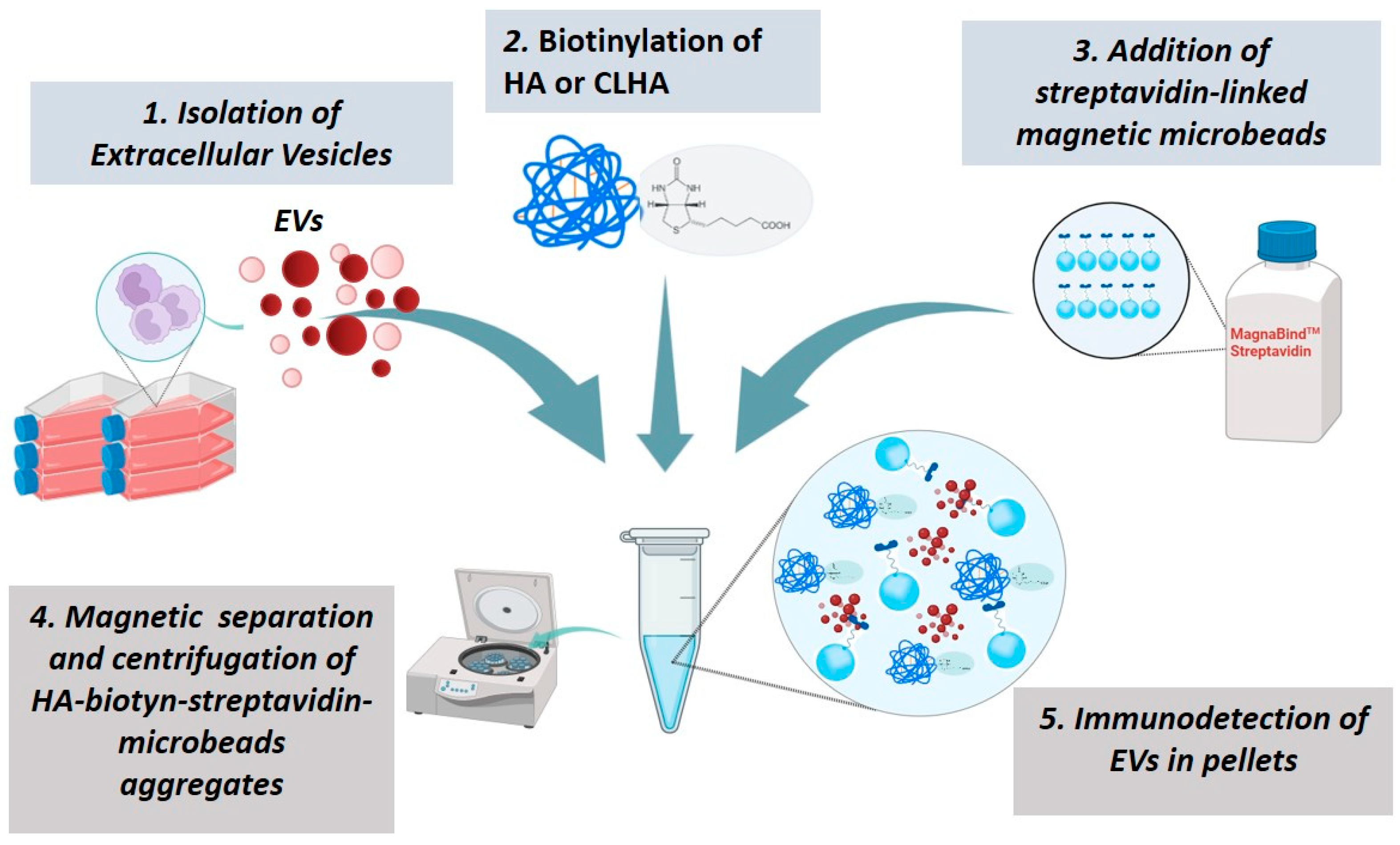 Pharmaceutics 16 01386 g001