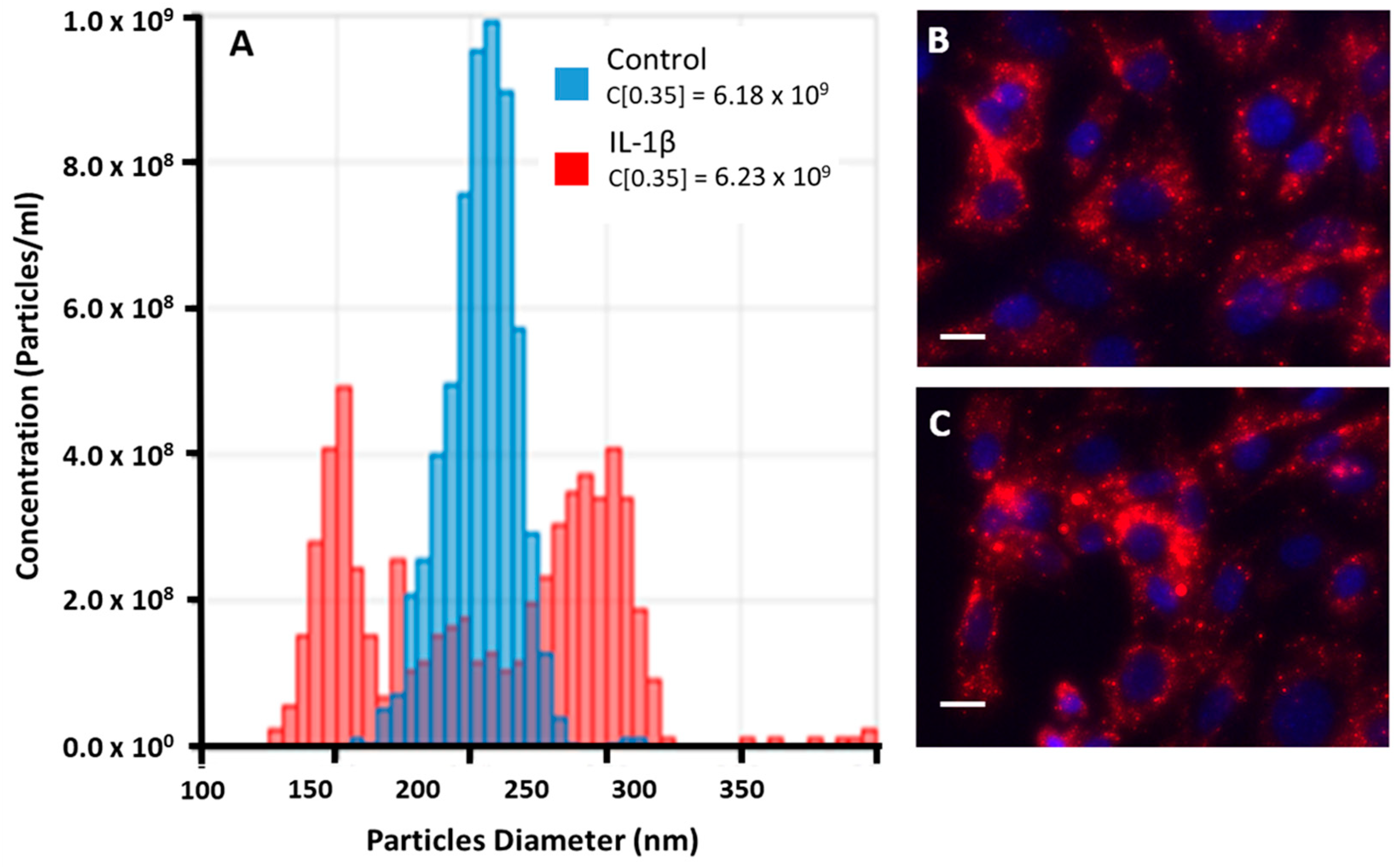 Pharmaceutics 16 01386 g003