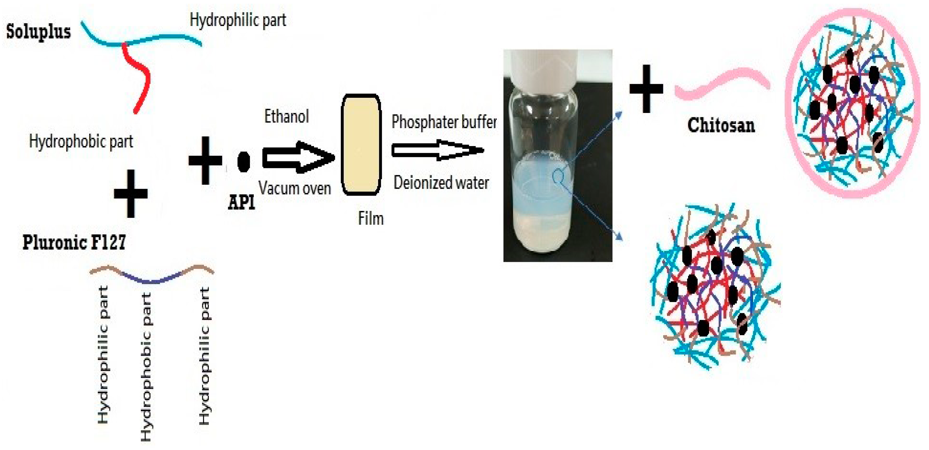 Pharmaceutics 16 01390 g001
