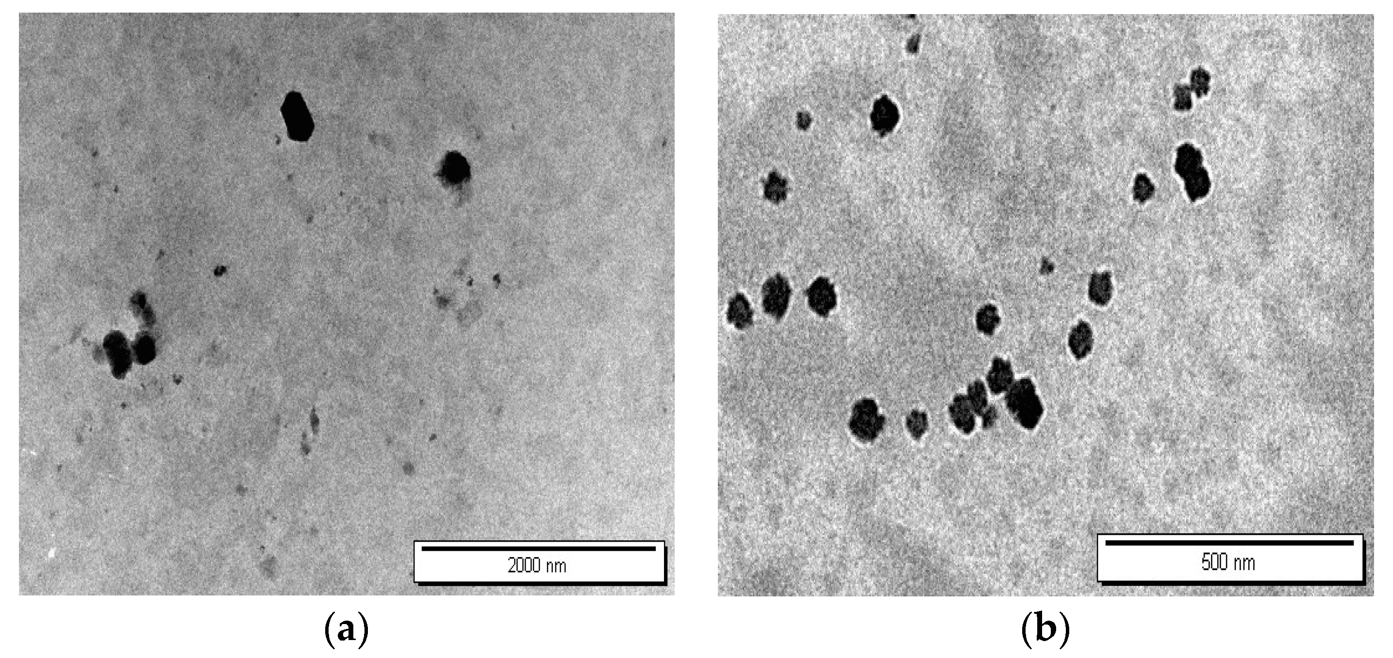 Pharmaceutics 16 01390 g006