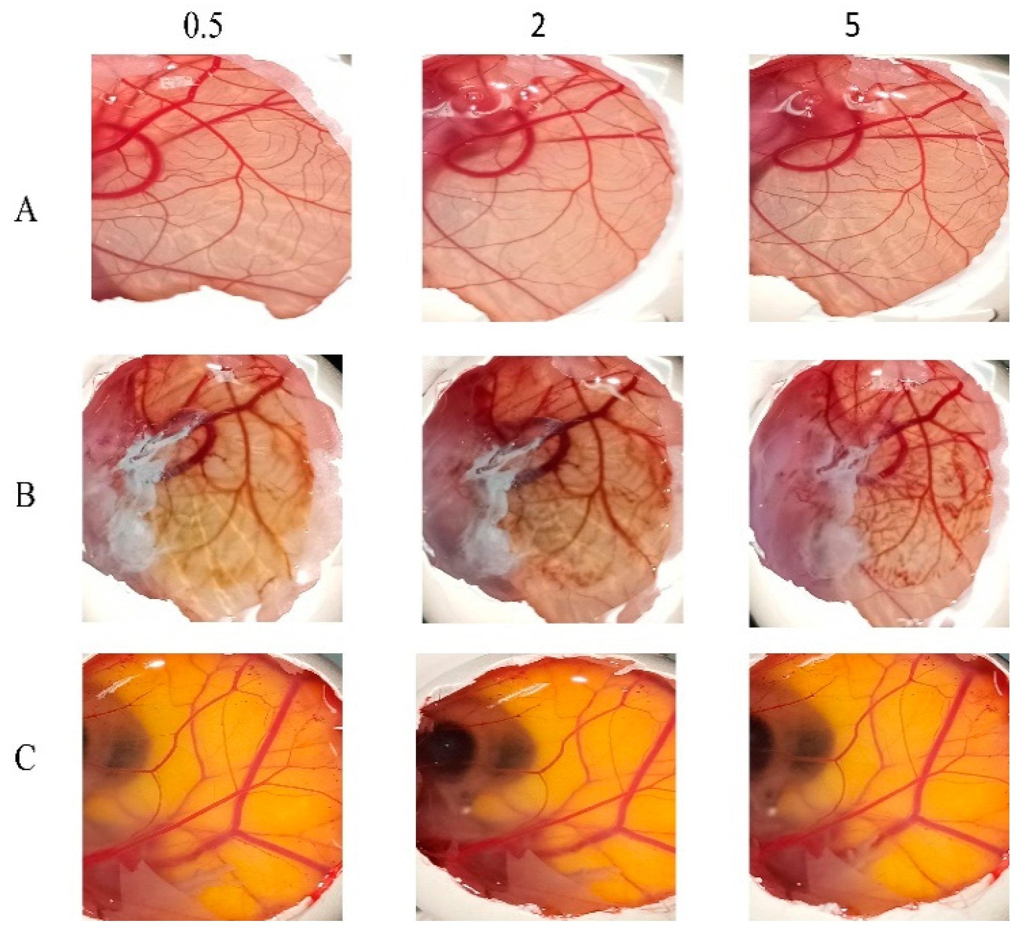 Pharmaceutics 16 01390 g007