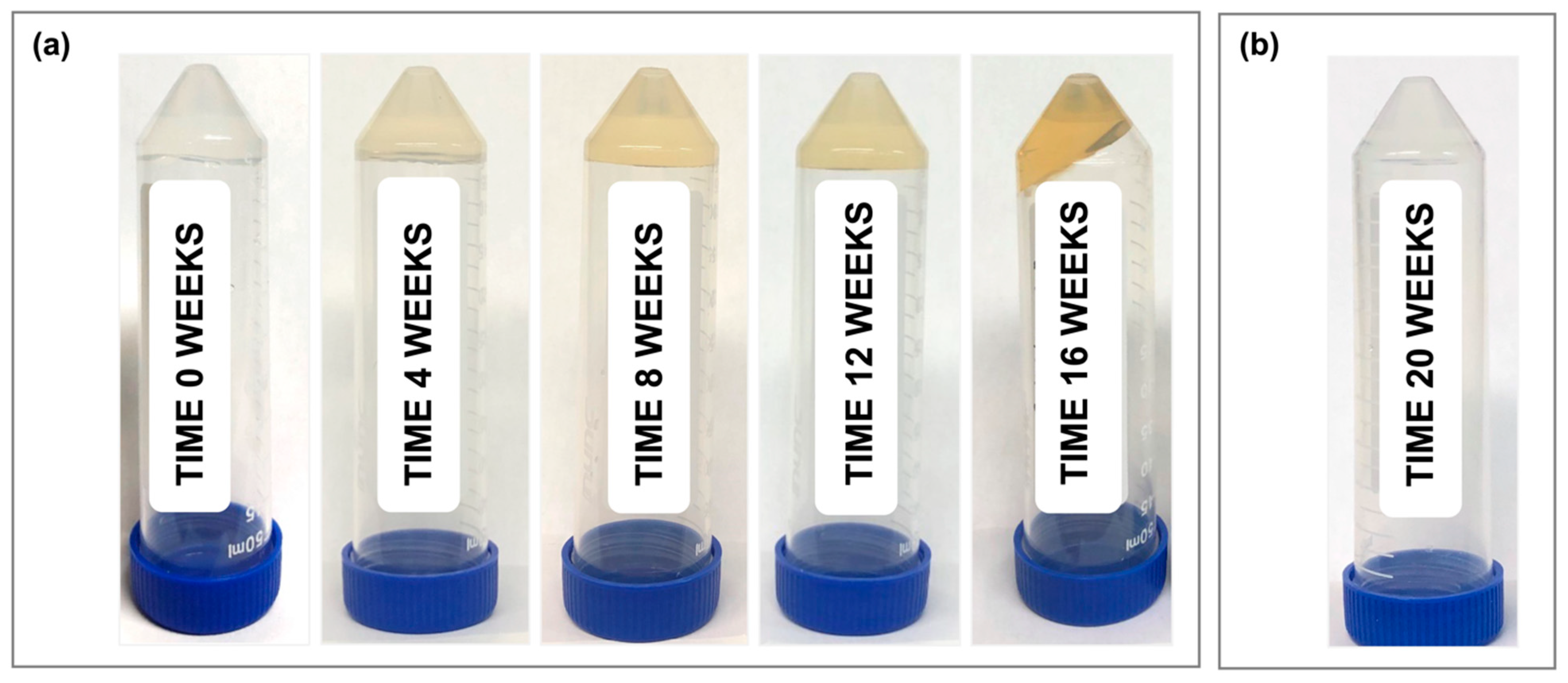 Pharmaceutics 16 01392 g002