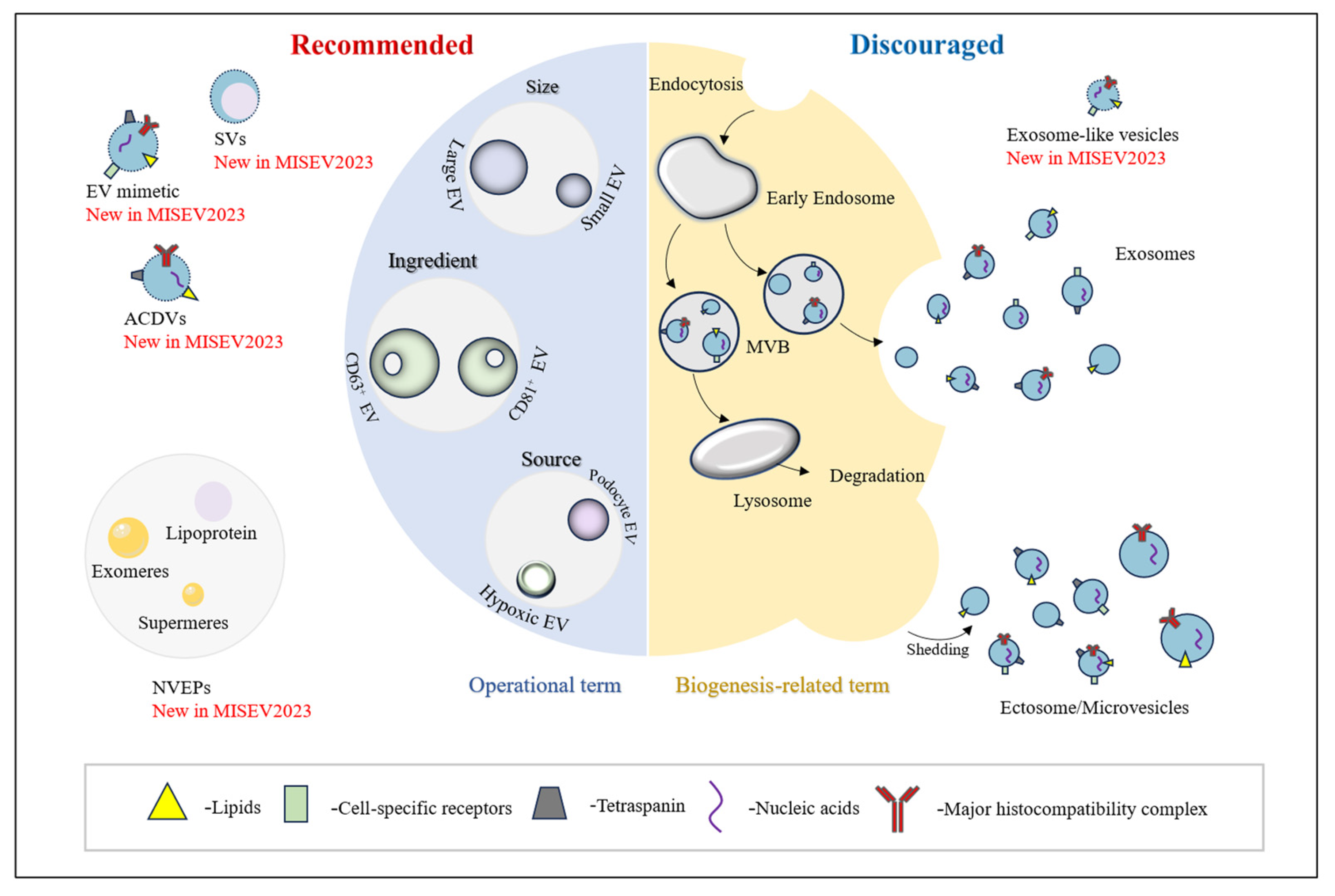 Pharmaceutics 16 01394 g001