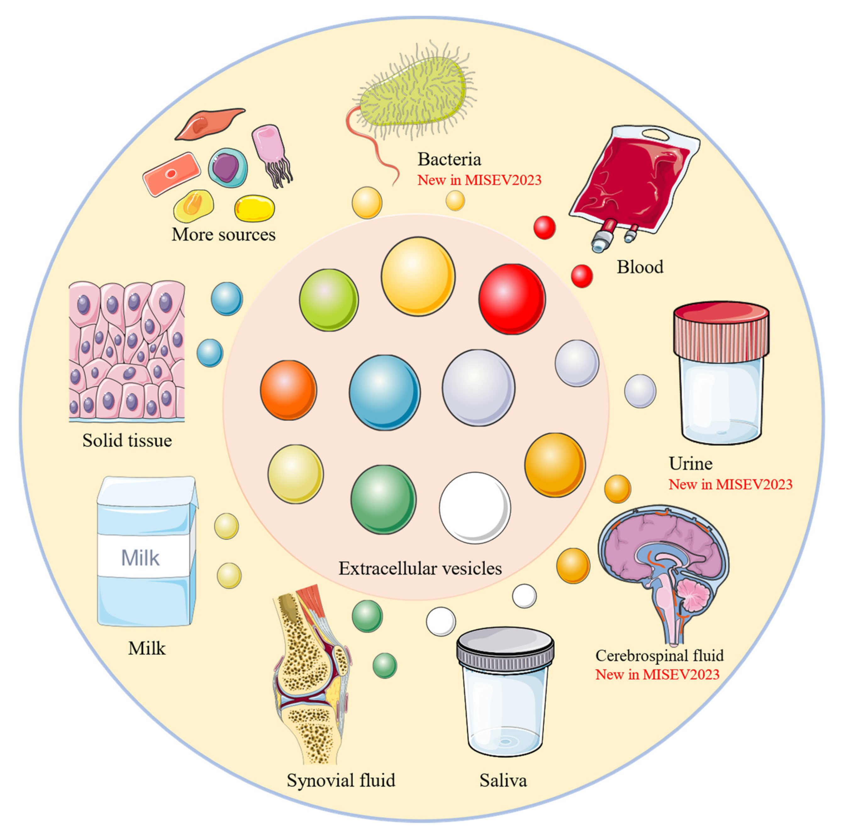 Pharmaceutics 16 01394 g002