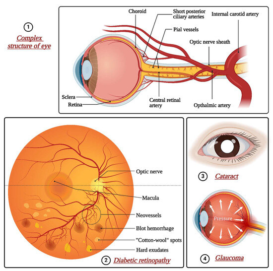 Revolutionizing Eye Care: Exploring the Potential of Microneedle Drug ...