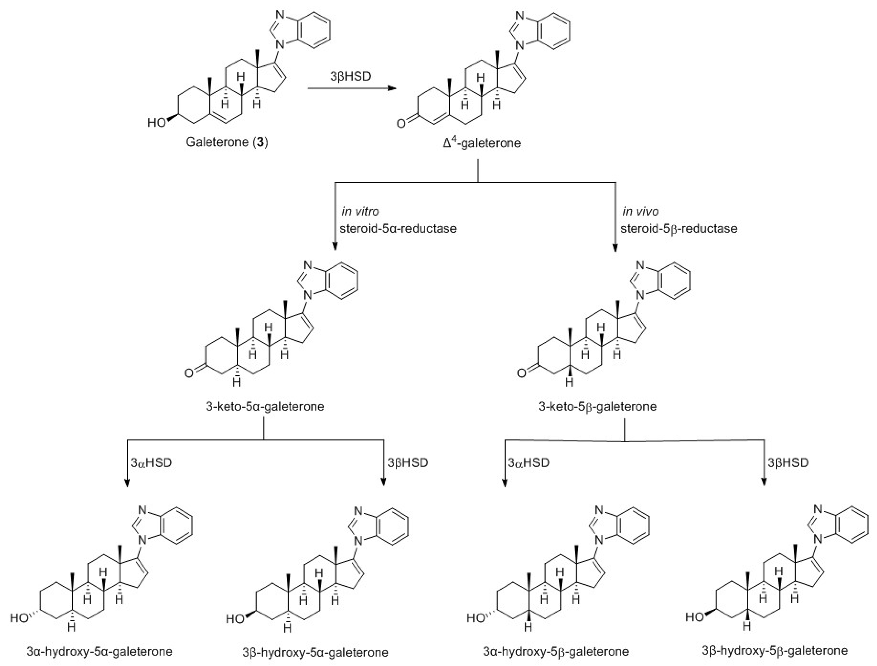 Pharmaceutics 16 01401 sch009