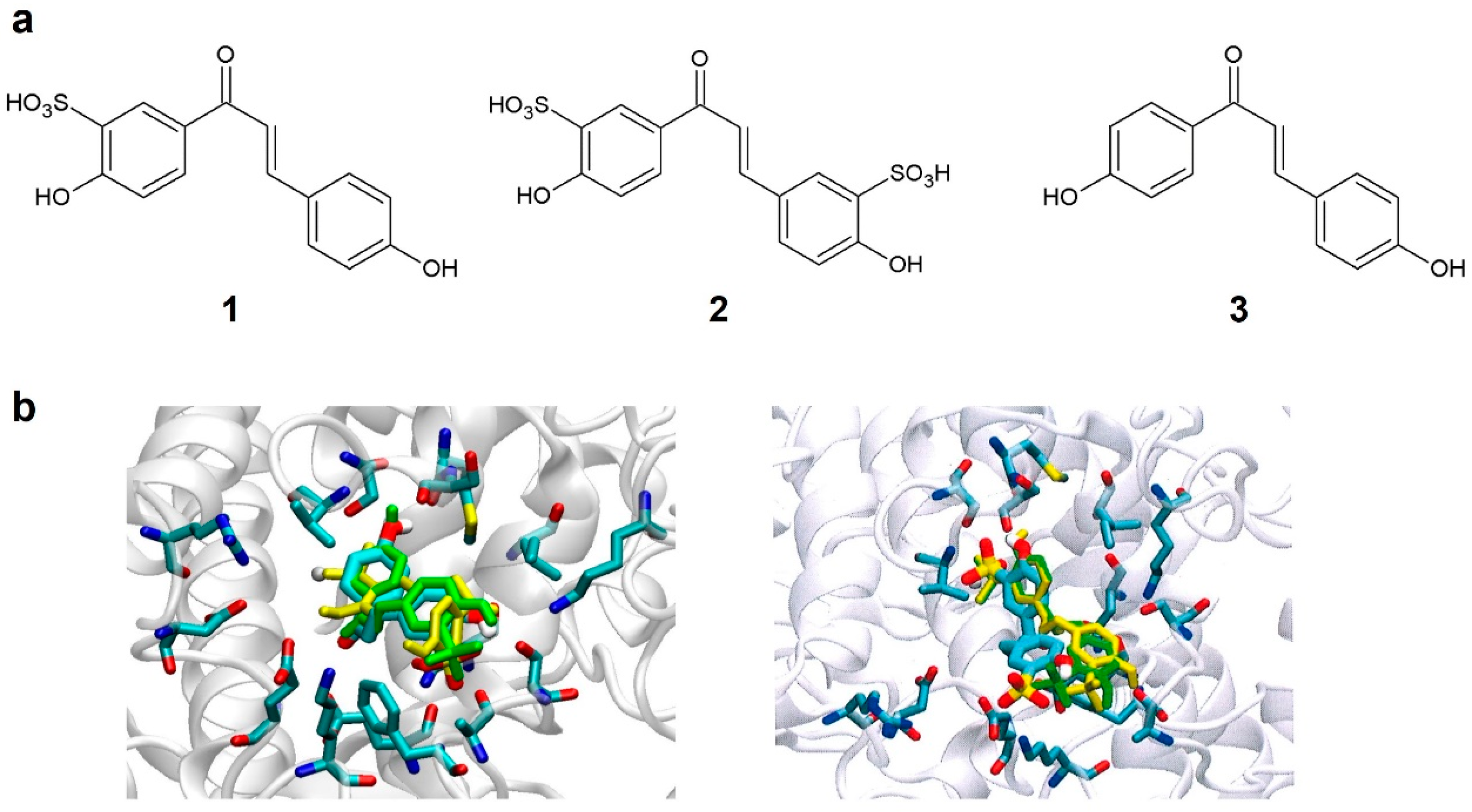 Pharmaceutics 16 01405 g001