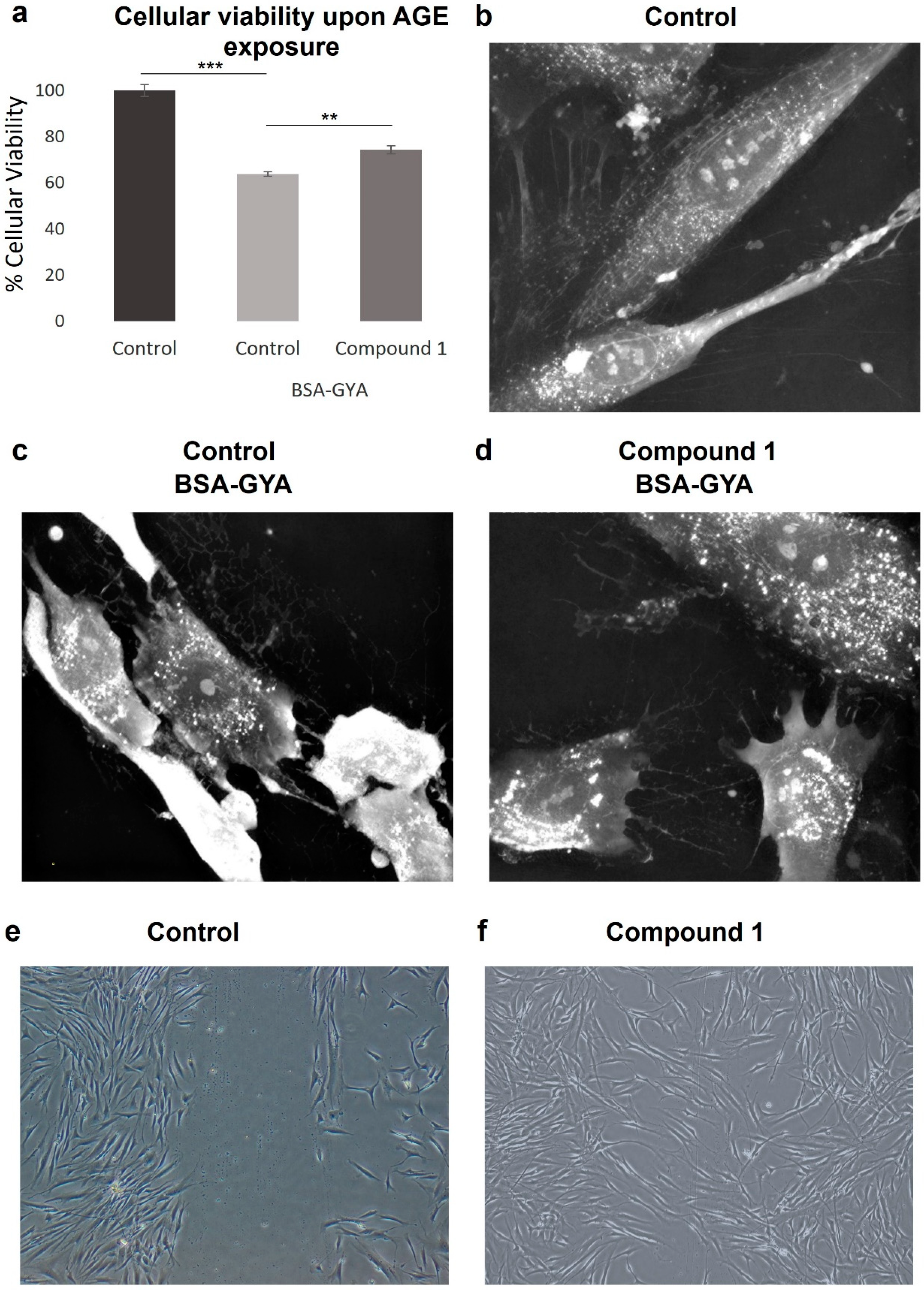 Pharmaceutics 16 01405 g003