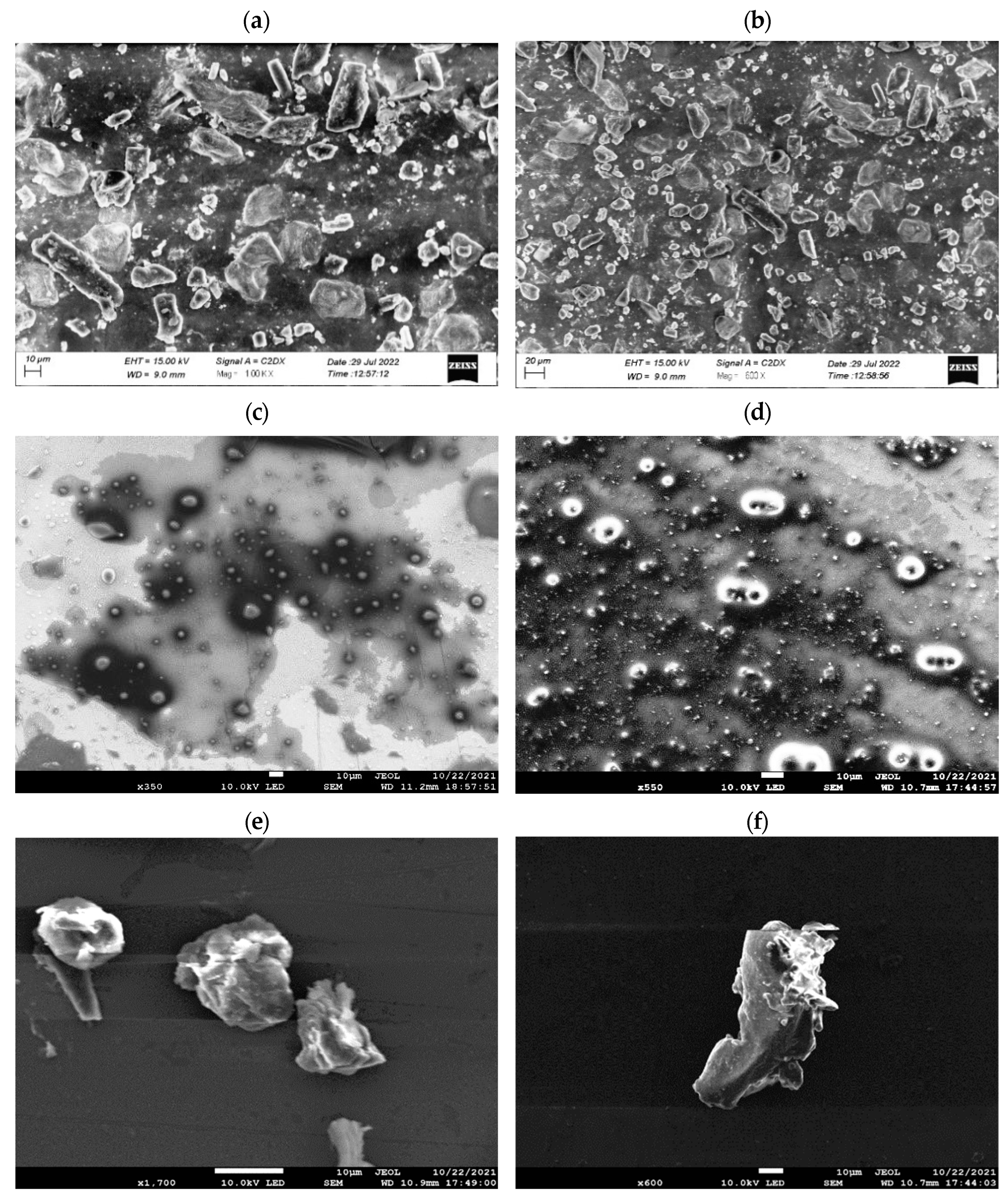 Pharmaceutics 16 01406 g002