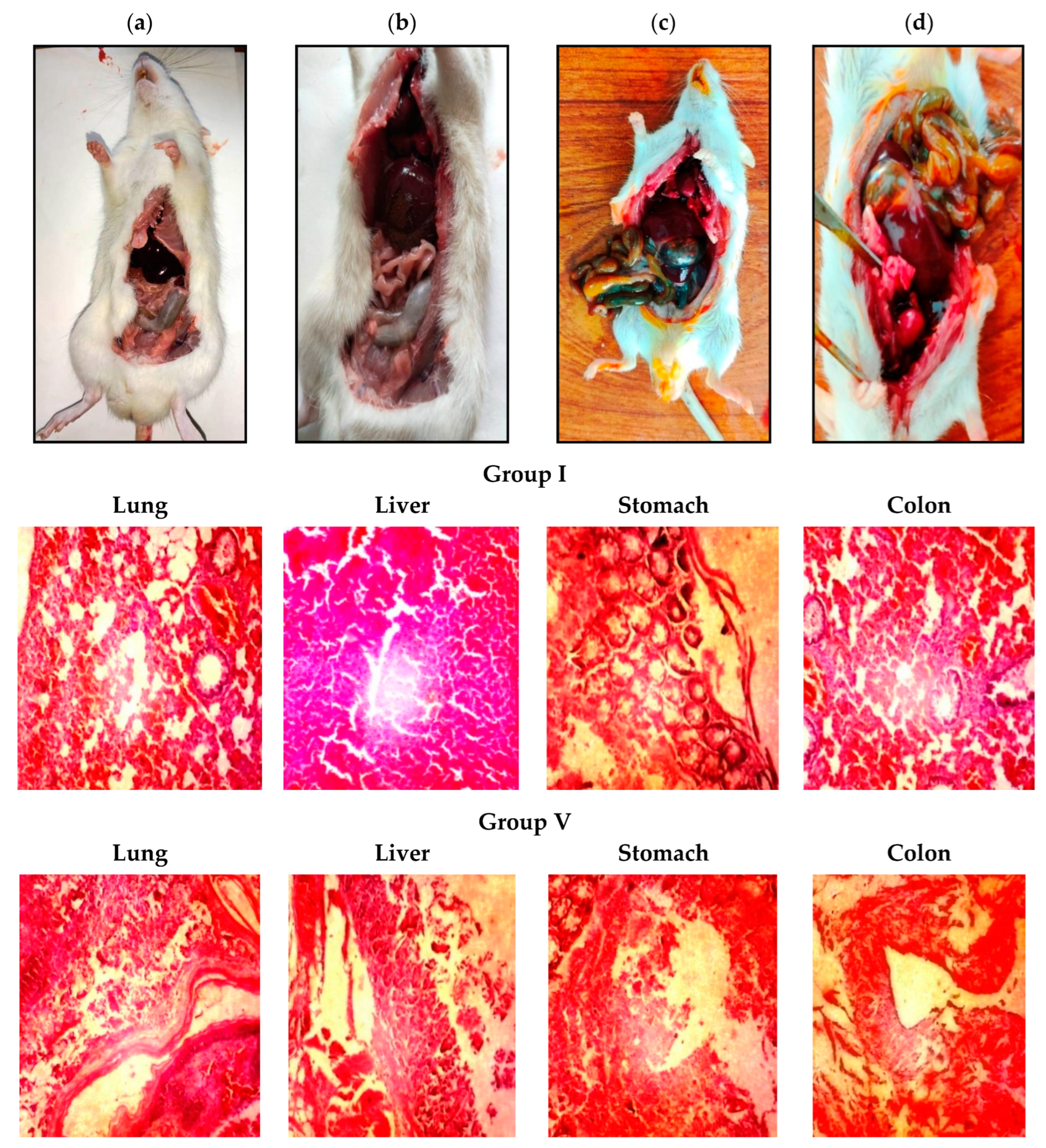 Pharmaceutics 16 01406 g005
