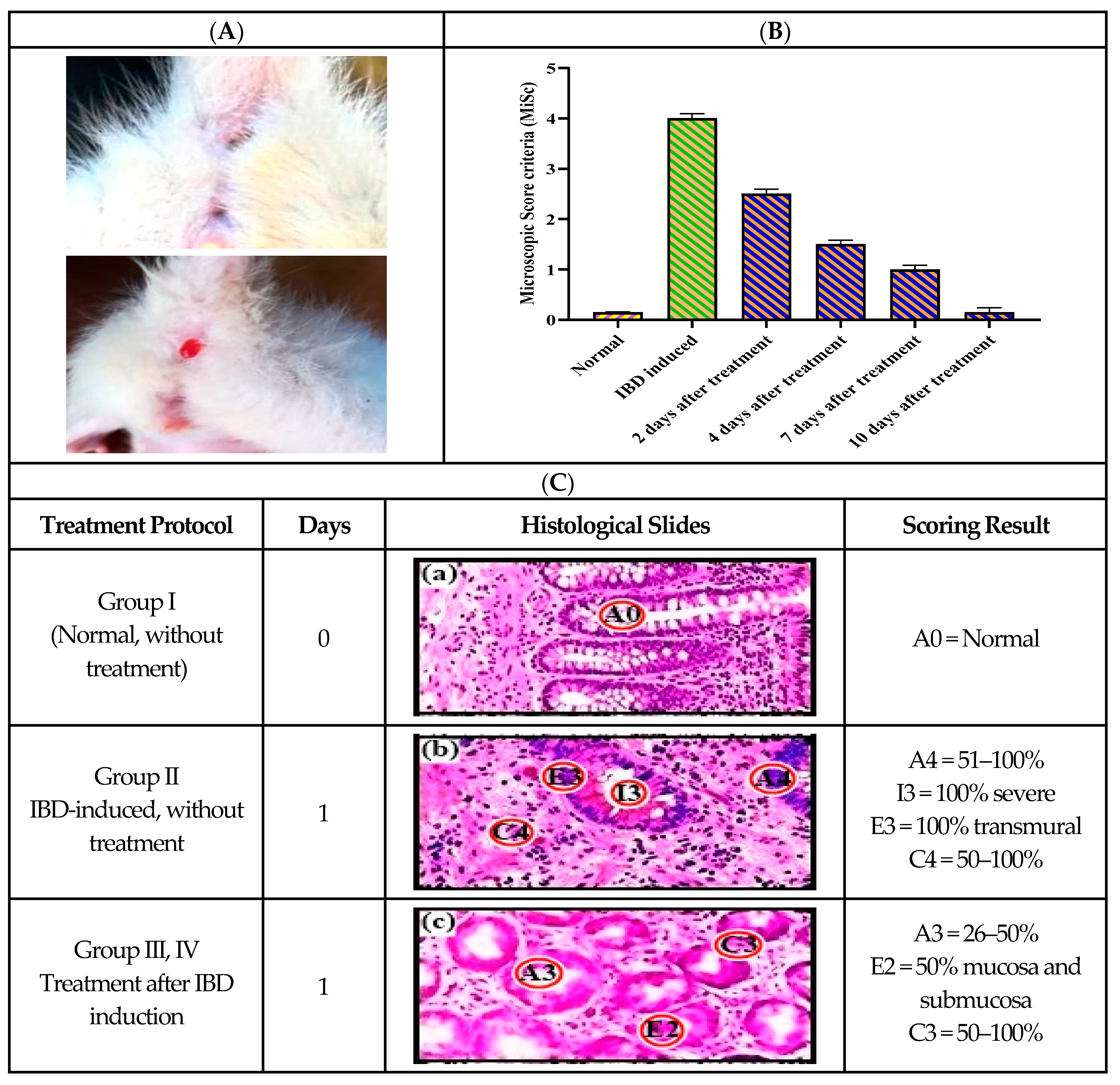 Pharmaceutics 16 01406 g007a