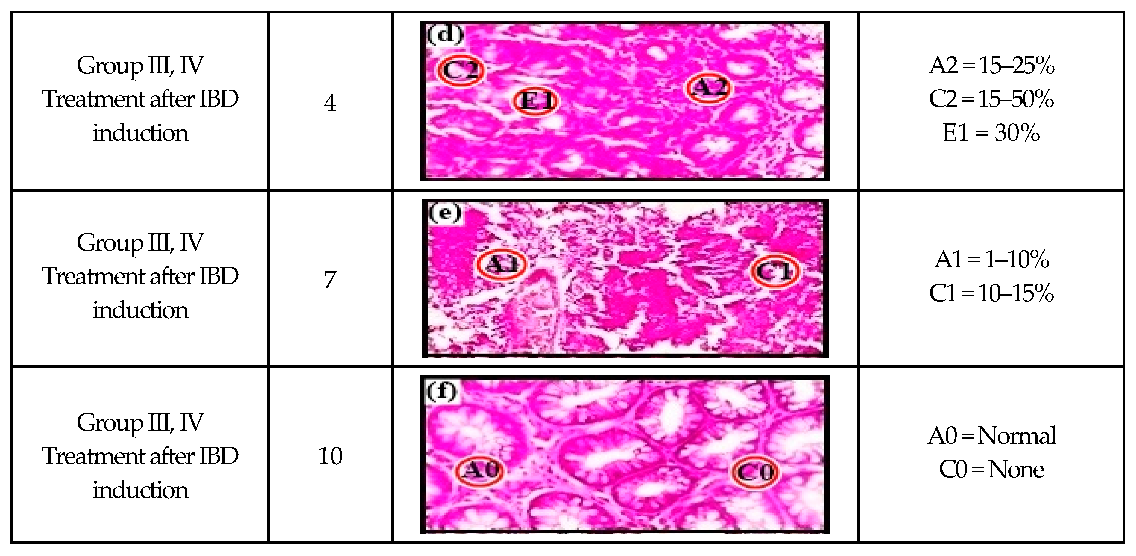 Pharmaceutics 16 01406 g007b