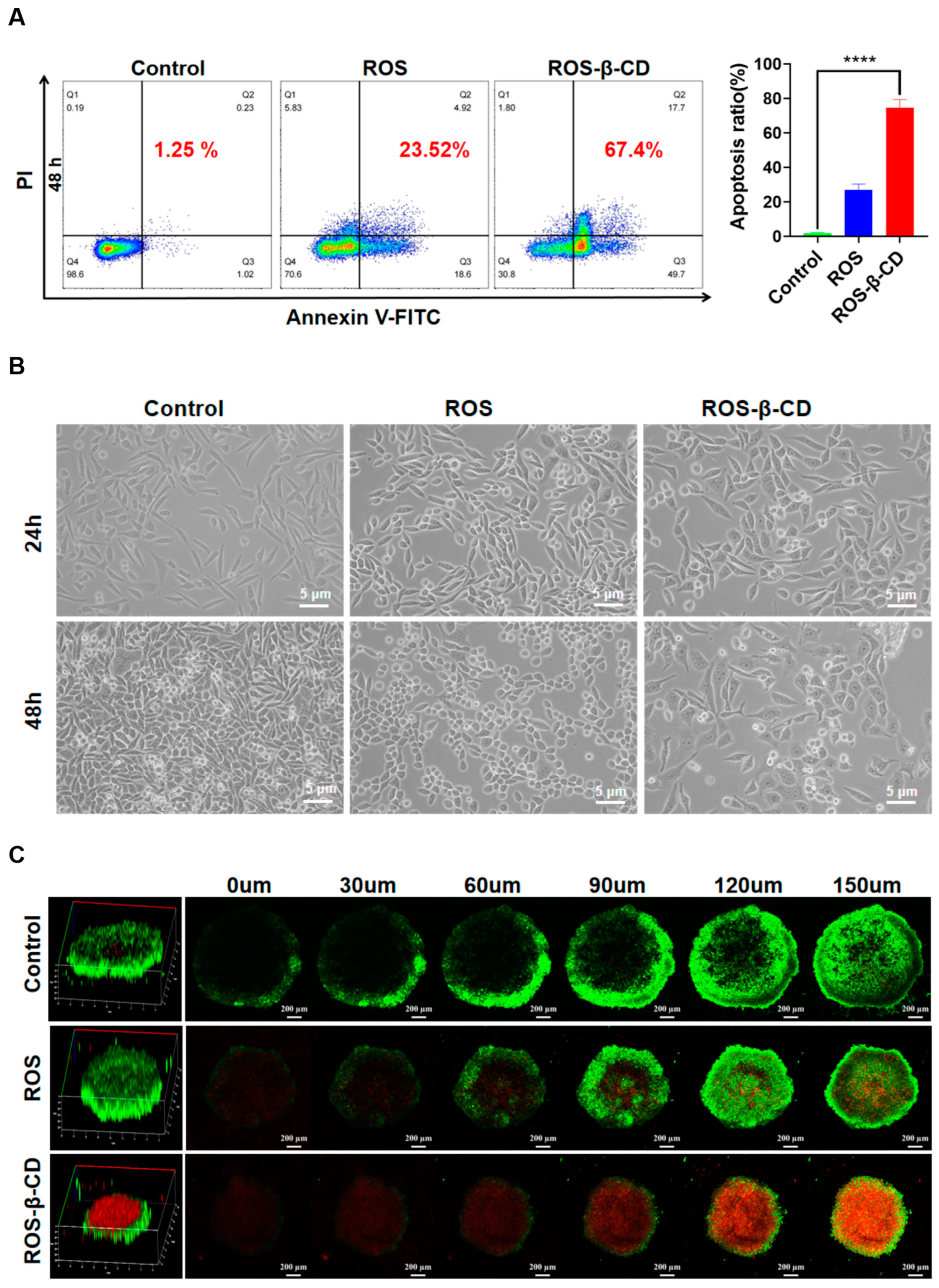 Pharmaceutics 16 01408 g006