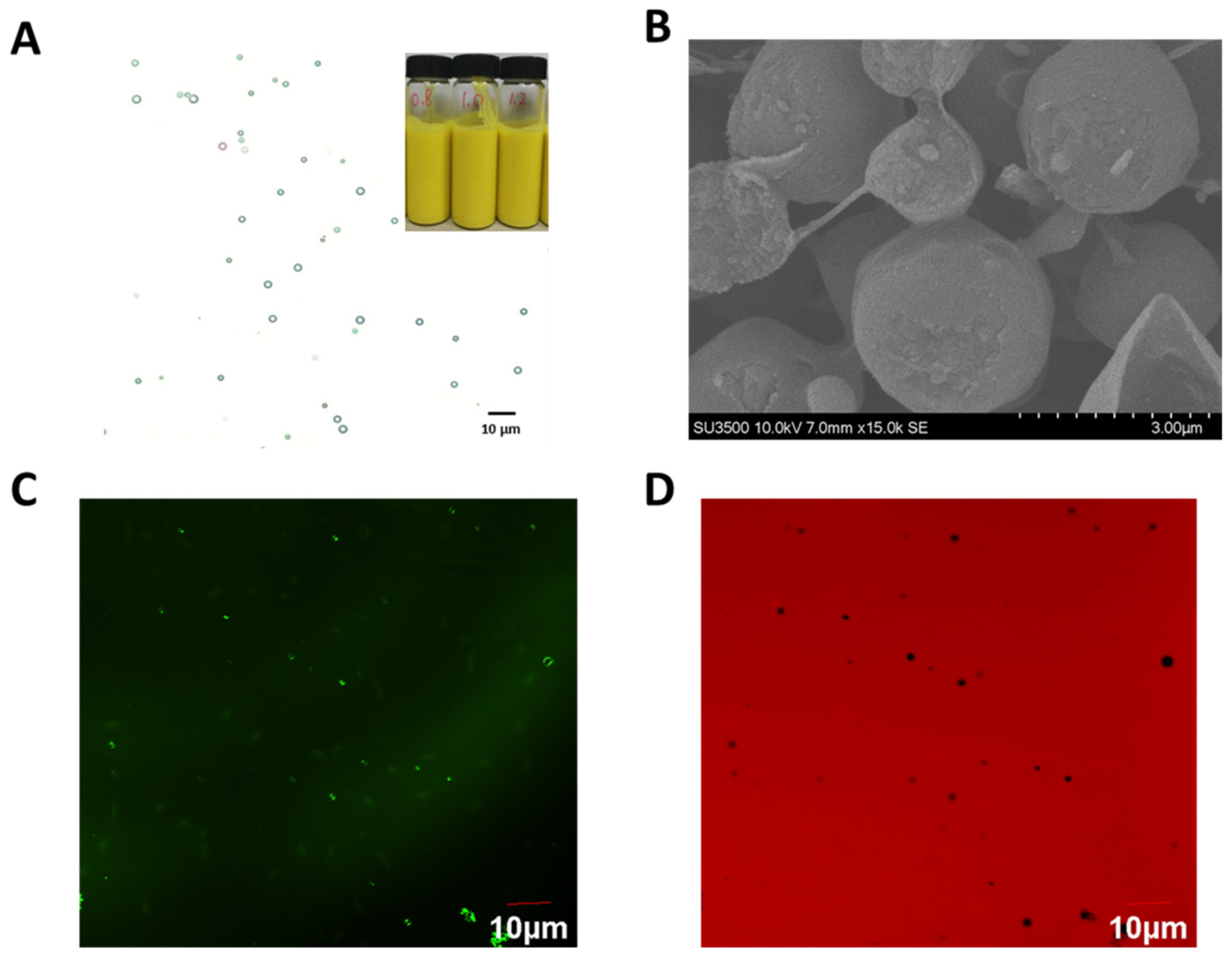 Pharmaceutics 16 01411 g003