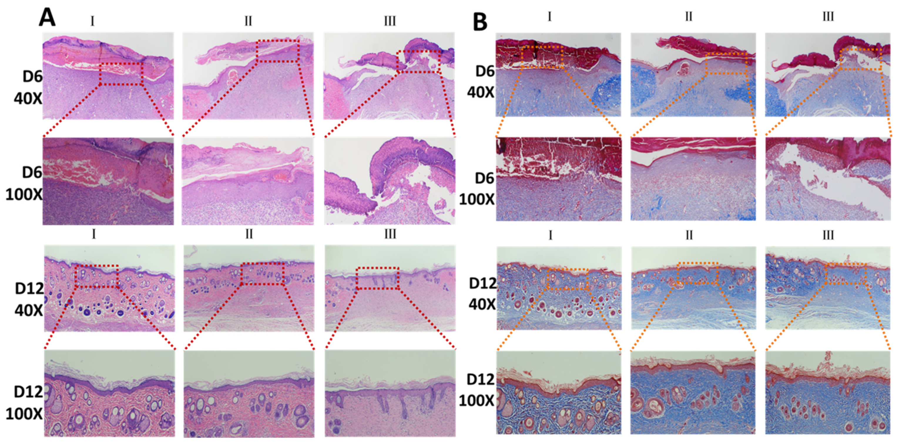 Pharmaceutics 16 01411 g006