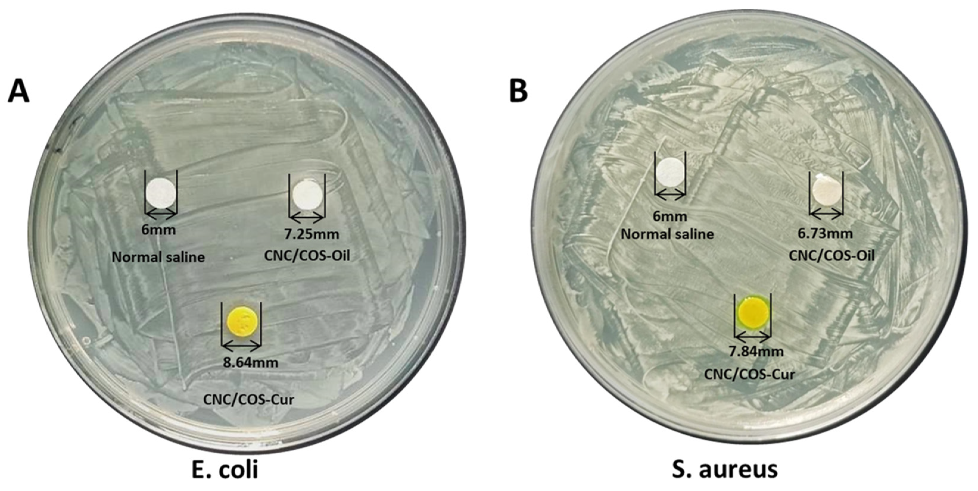Pharmaceutics 16 01411 g008