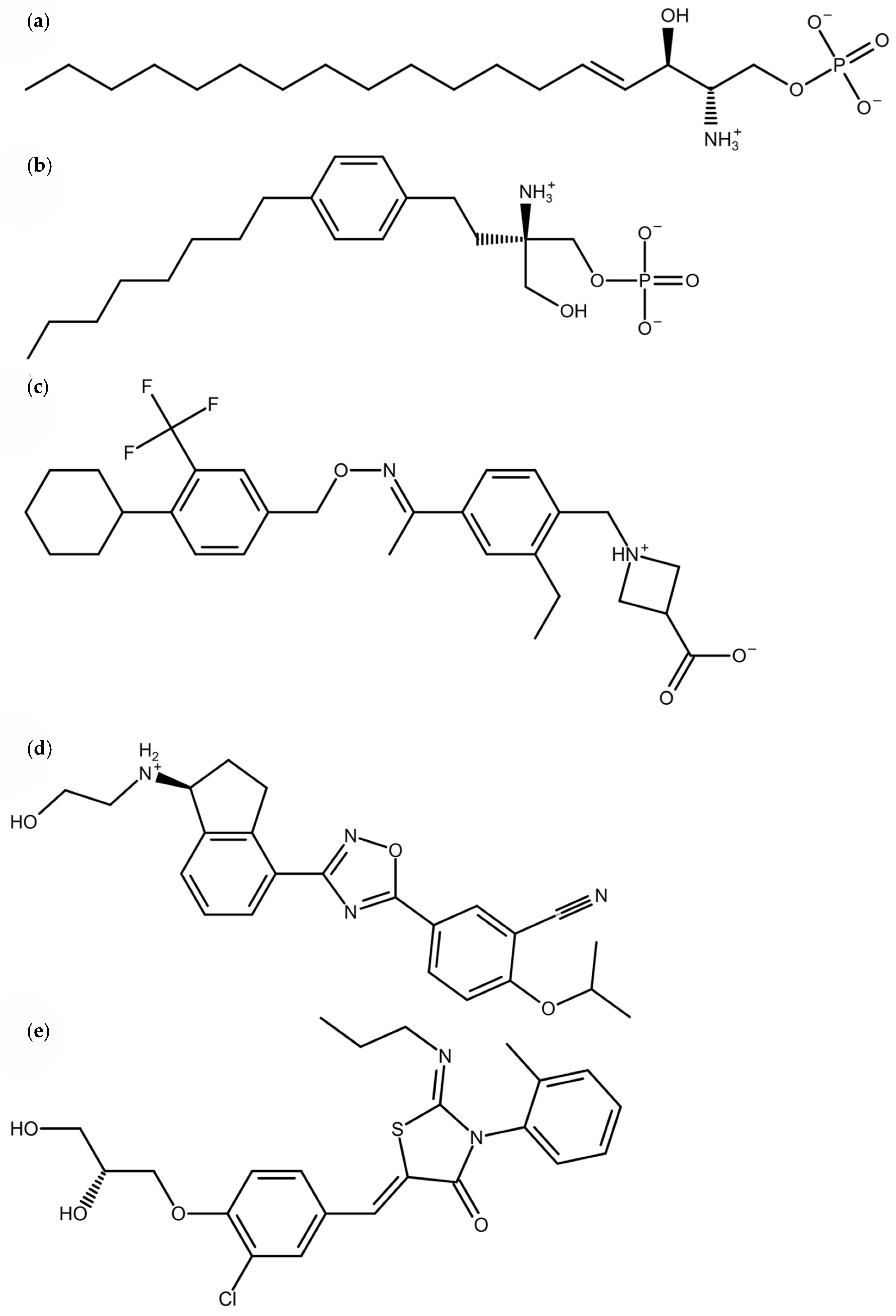 Pharmaceutics 16 01413 g001